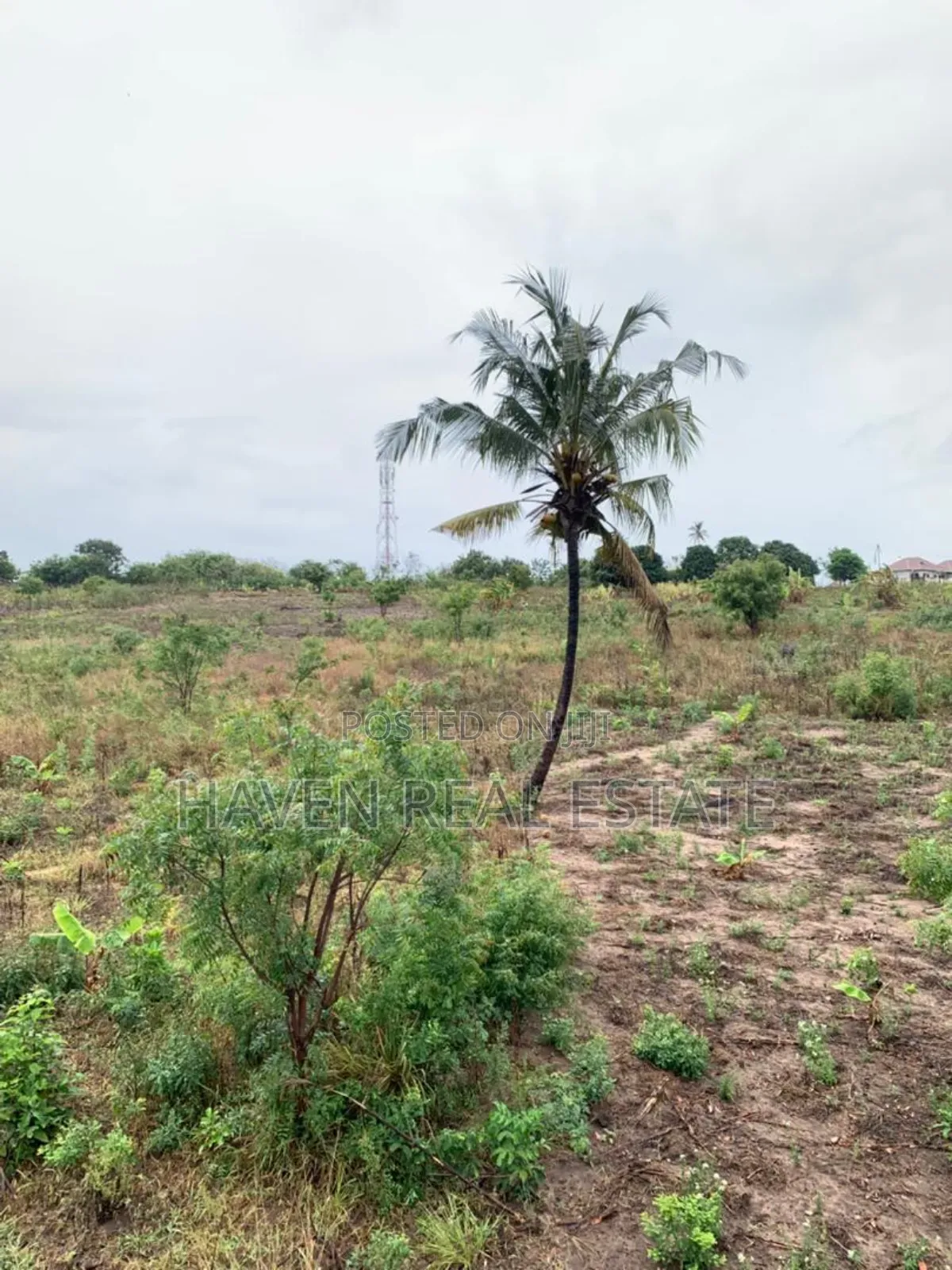 5acres Plot for Sale at Bunju B in Bunju