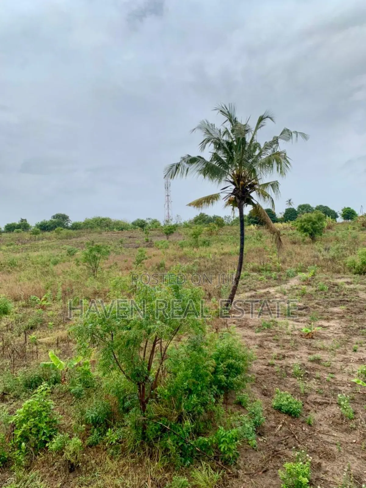 5acres Plot for Sale at Bunju B in Bunju