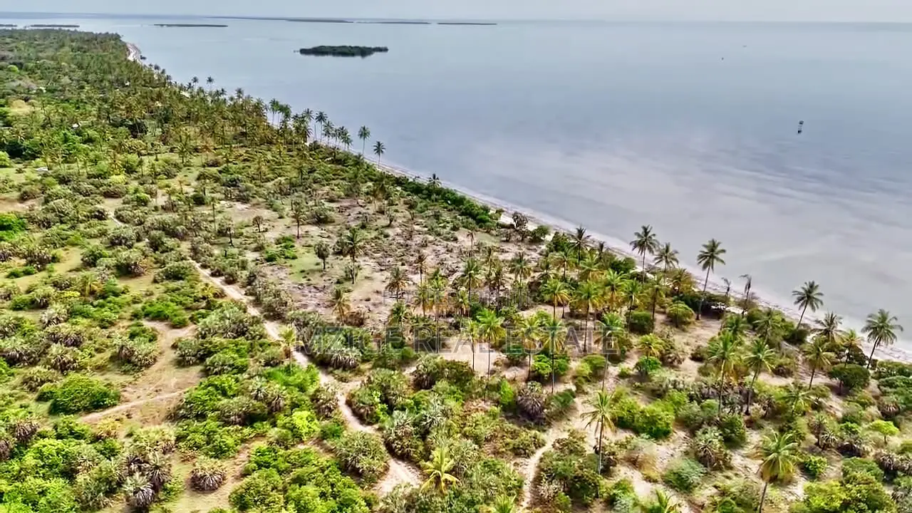14 Acres White Sand Beach Plot for Sale at Mwalongo, Tanga in Pangani A (West)