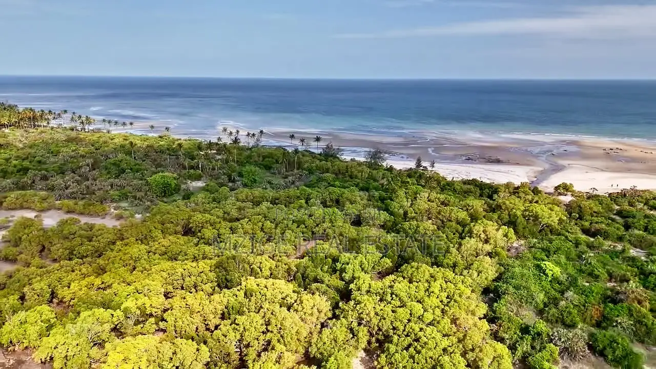 14 Acres White Sand Beach Plot for Sale at Mwalongo, Tanga in Pangani A (West)