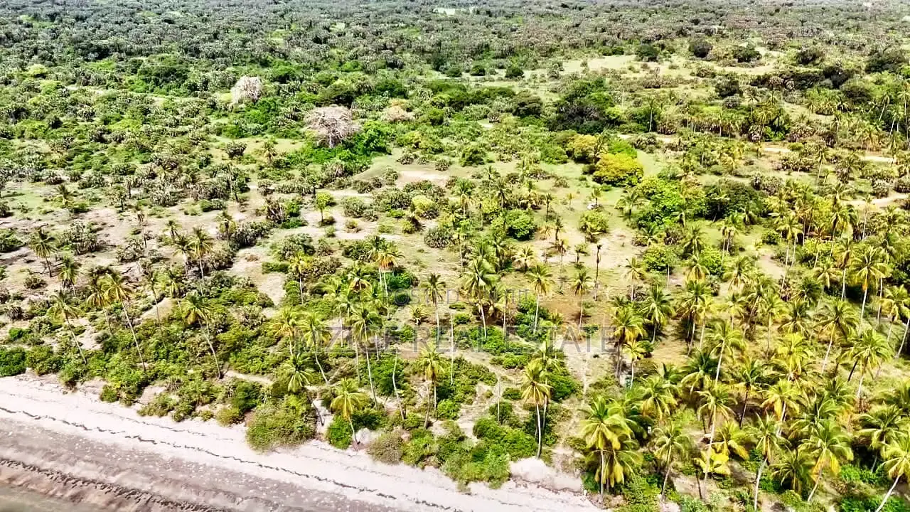 14 Acres White Sand Beach Plot for Sale at Mwalongo, Tanga in Pangani A (West)