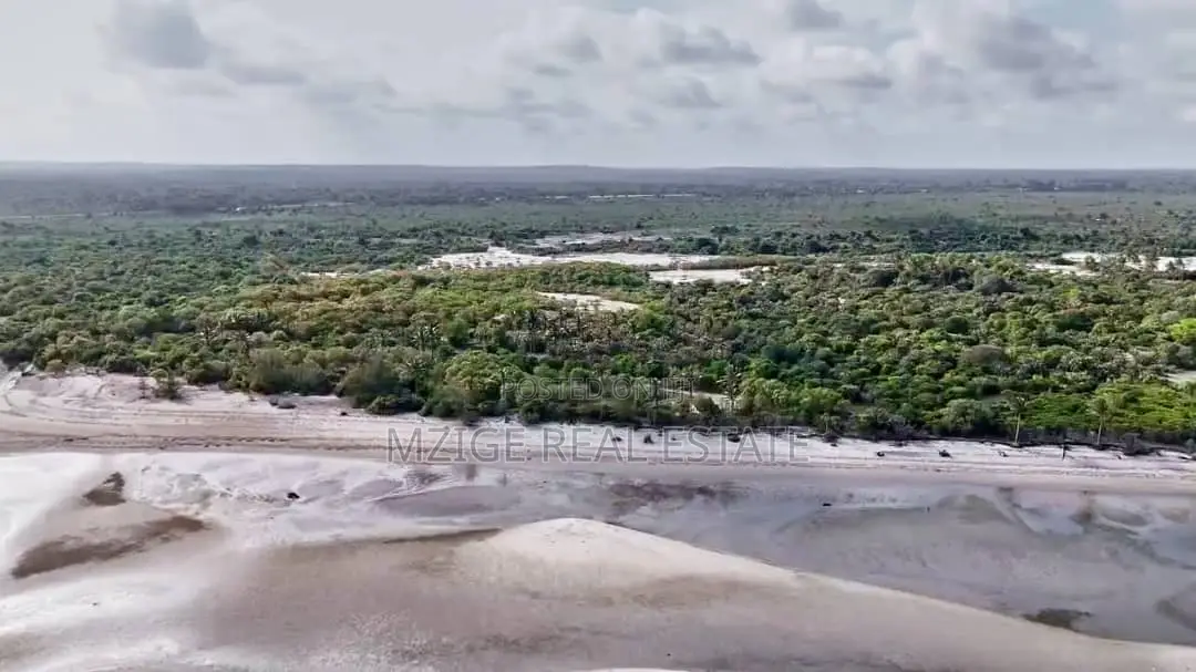 Drone Photos: 40 Acres Beachfront for Sale in Mkwaja - Pangani,Tanga in Mkwaja