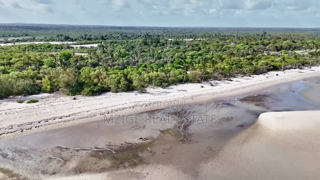 Drone Photos: 40 Acres Beachfront for Sale in Mkwaja - Pangani,Tanga in Mkwaja