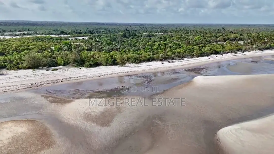 Drone Photos: 40 Acres Beachfront for Sale in Mkwaja - Pangani,Tanga in Mkwaja
