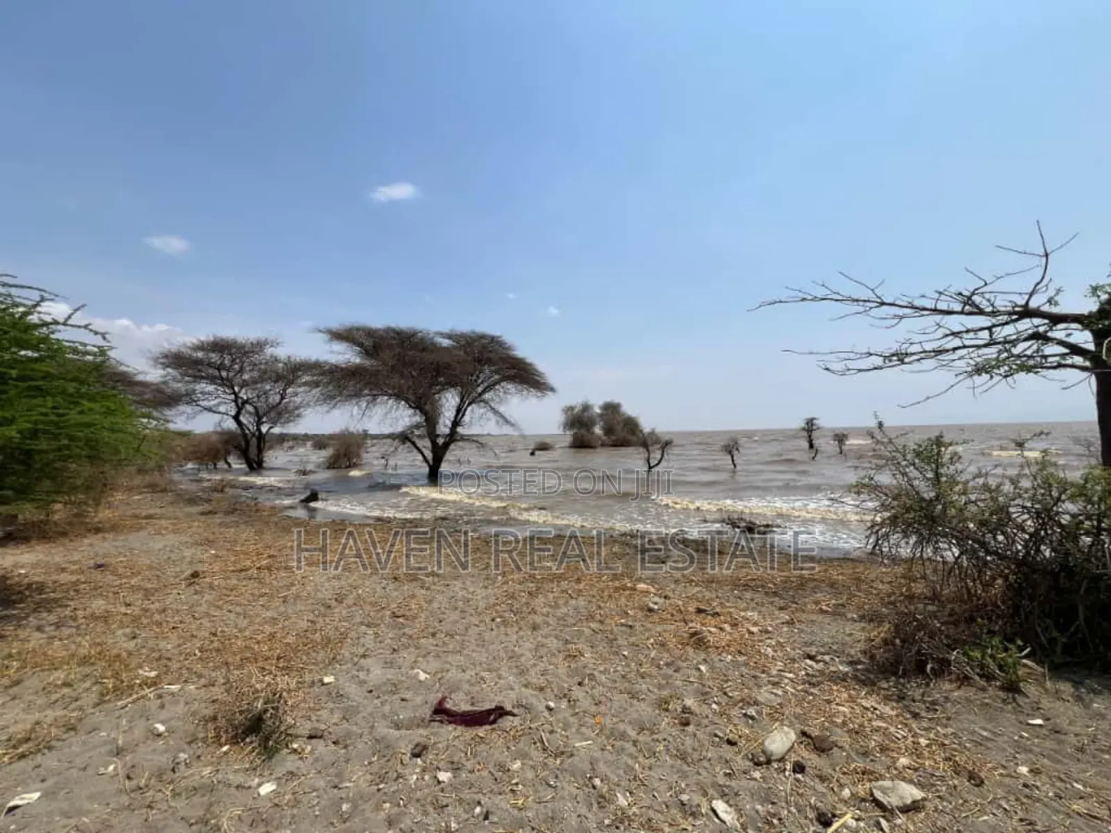 Eneo La Ekari 20 Linalogusa Ziwa Manyara Linauzwa Mto Wa Mbu in Arusha