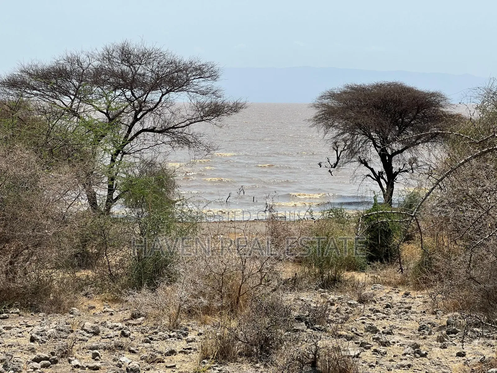 Eneo La Ekari 20 Linalogusa Ziwa Manyara Linauzwa Mto Wa Mbu in Arusha