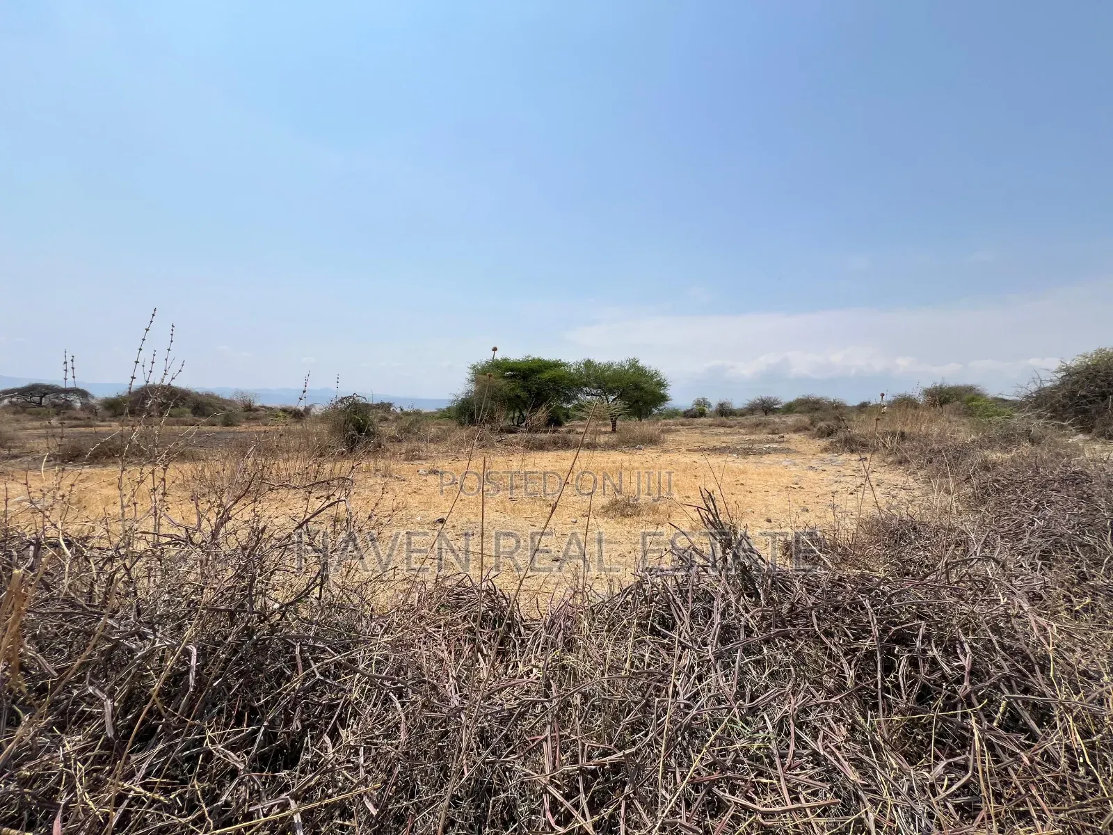 Eneo La Ekari 20 Linalogusa Ziwa Manyara Linauzwa Mto Wa Mbu in Arusha