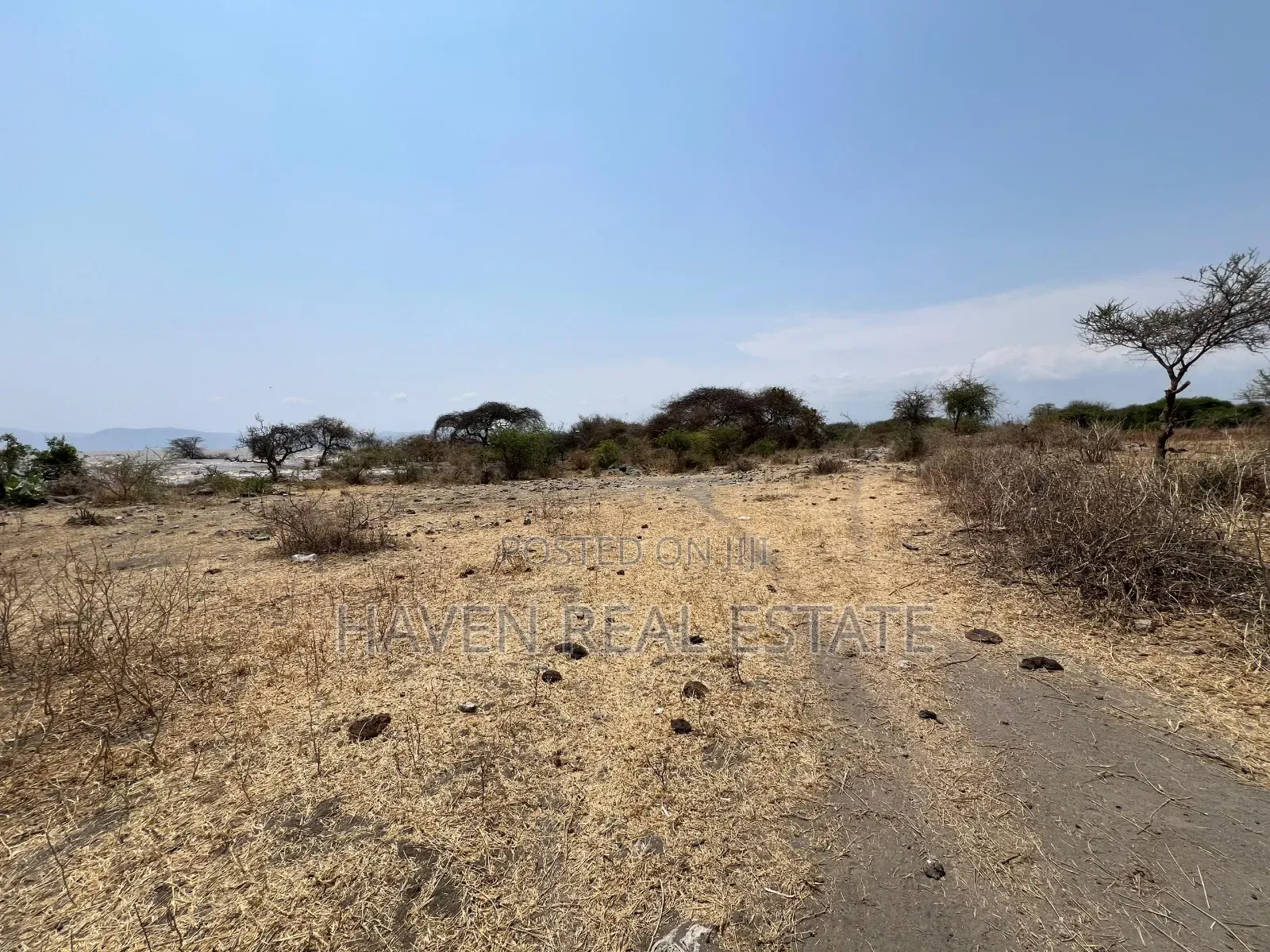 Eneo La Ekari 20 Linalogusa Ziwa Manyara Linauzwa Mto Wa Mbu in Arusha