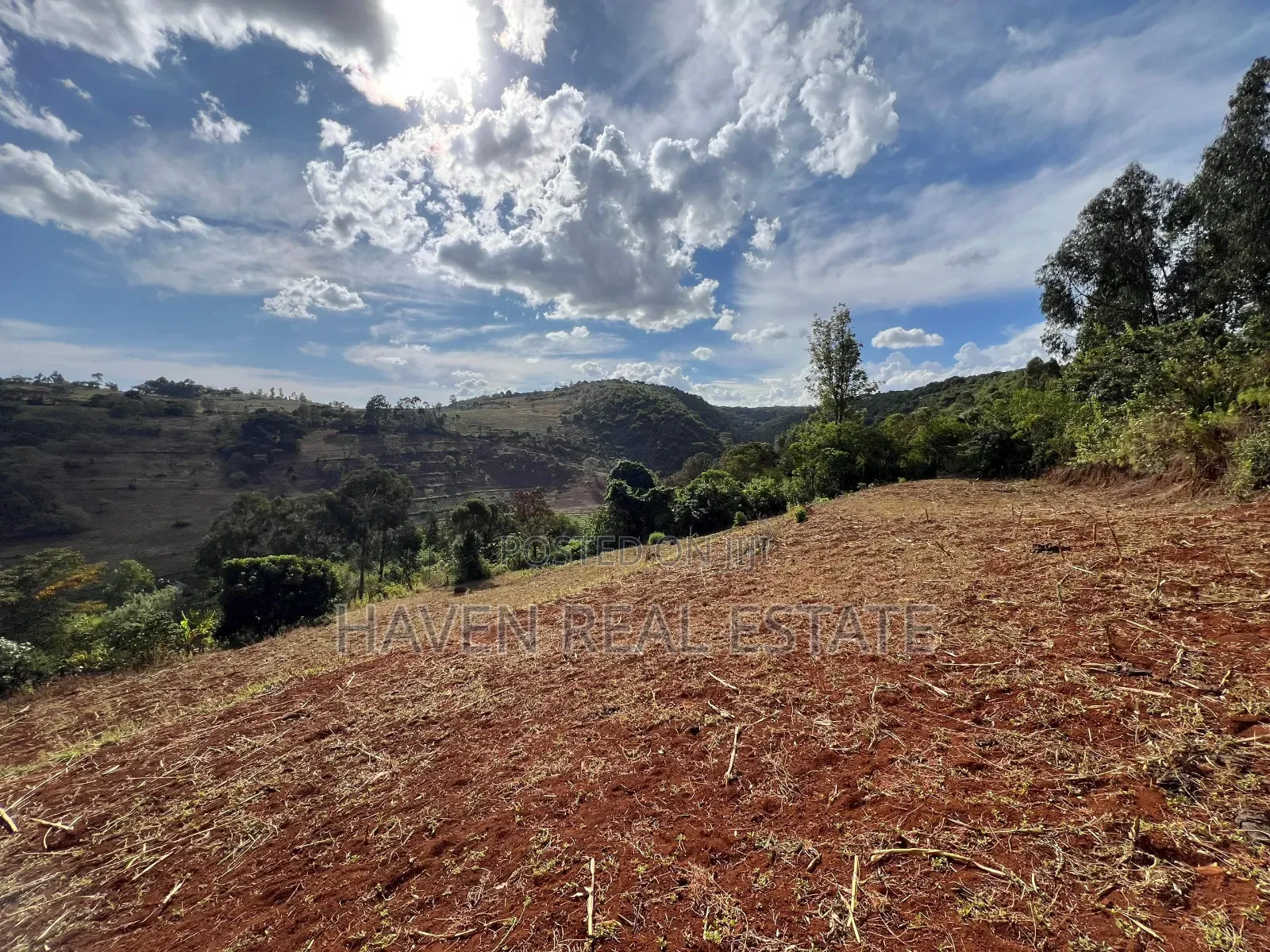 Ekari 7 Za Msitu Halisi (Ngorongoro Fireline) Zinauzwa Marera, Karatu in Moshi Urban
