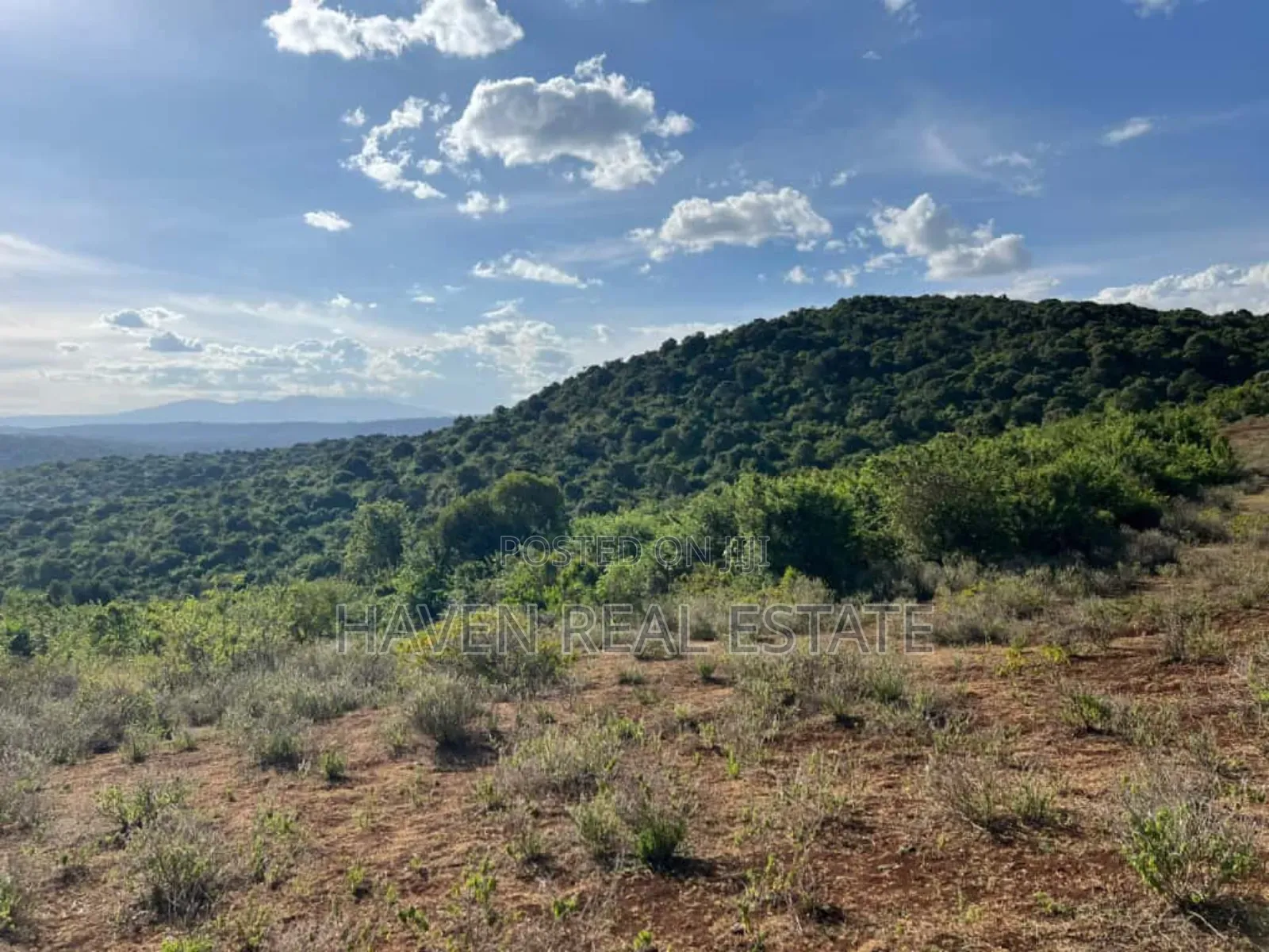 Ekari 7 Za Msitu Halisi (Ngorongoro Fireline) Zinauzwa Marera, Karatu in Moshi Urban