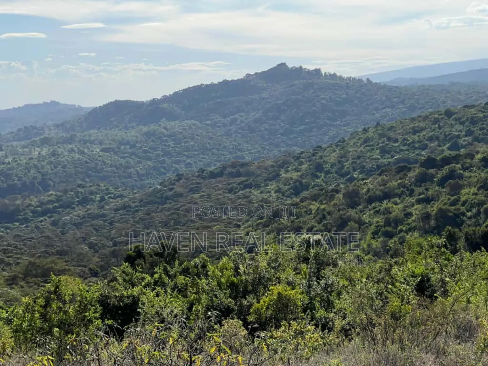 Ekari 7 Za Msitu Halisi (Ngorongoro Fireline) Zinauzwa Marera, Karatu in Moshi Urban
