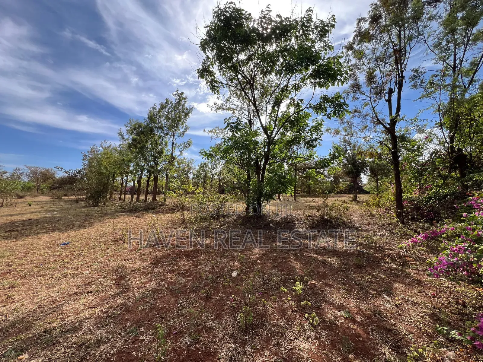 4.9acres Limegusa Barabara Ya Maliasili Inauzwa Karatu-Mjini in Moshi Urban
