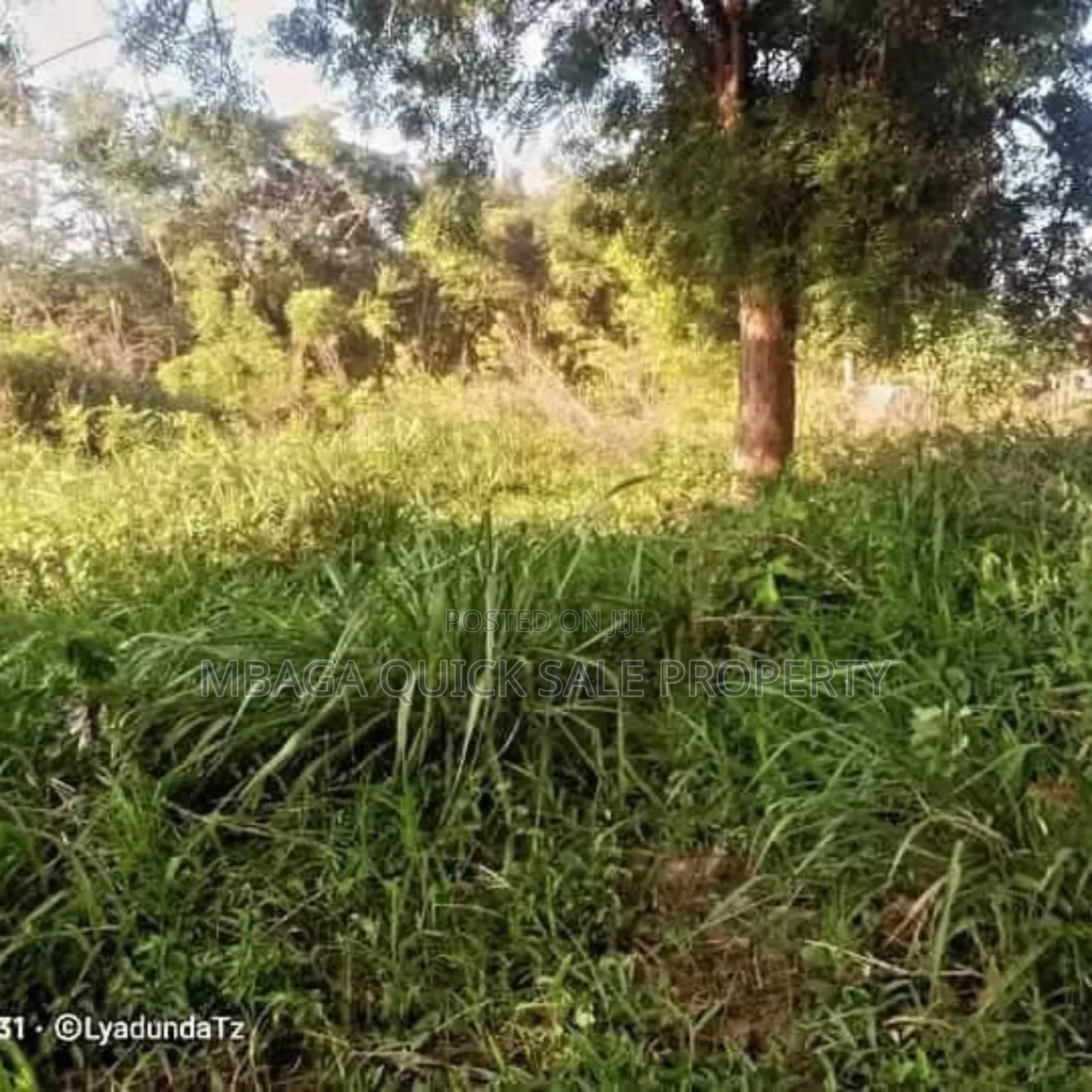 Plot Area Sqm4000 for Sale at Visiga Kibaha in Visiga