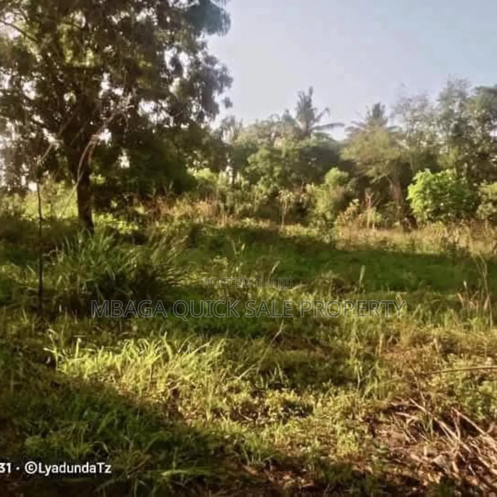 Plot Area Sqm4000 for Sale at Visiga Kibaha in Visiga
