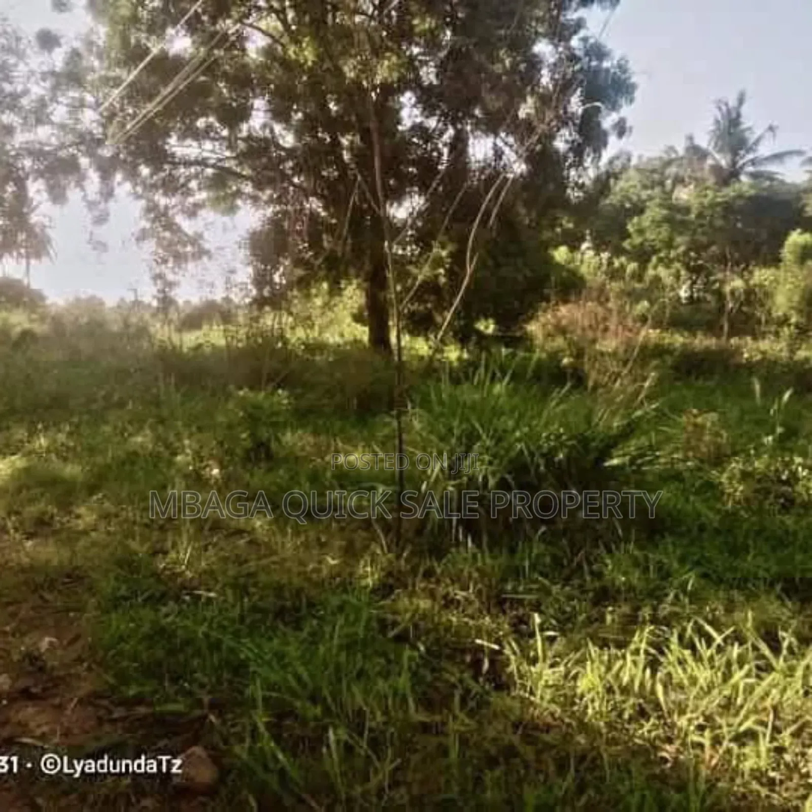 Plot Area Sqm4000 for Sale at Visiga Kibaha in Visiga