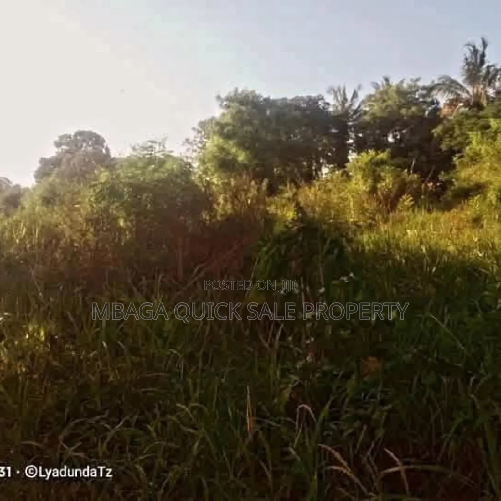 Plot Area Sqm4000 for Sale at Visiga Kibaha in Visiga