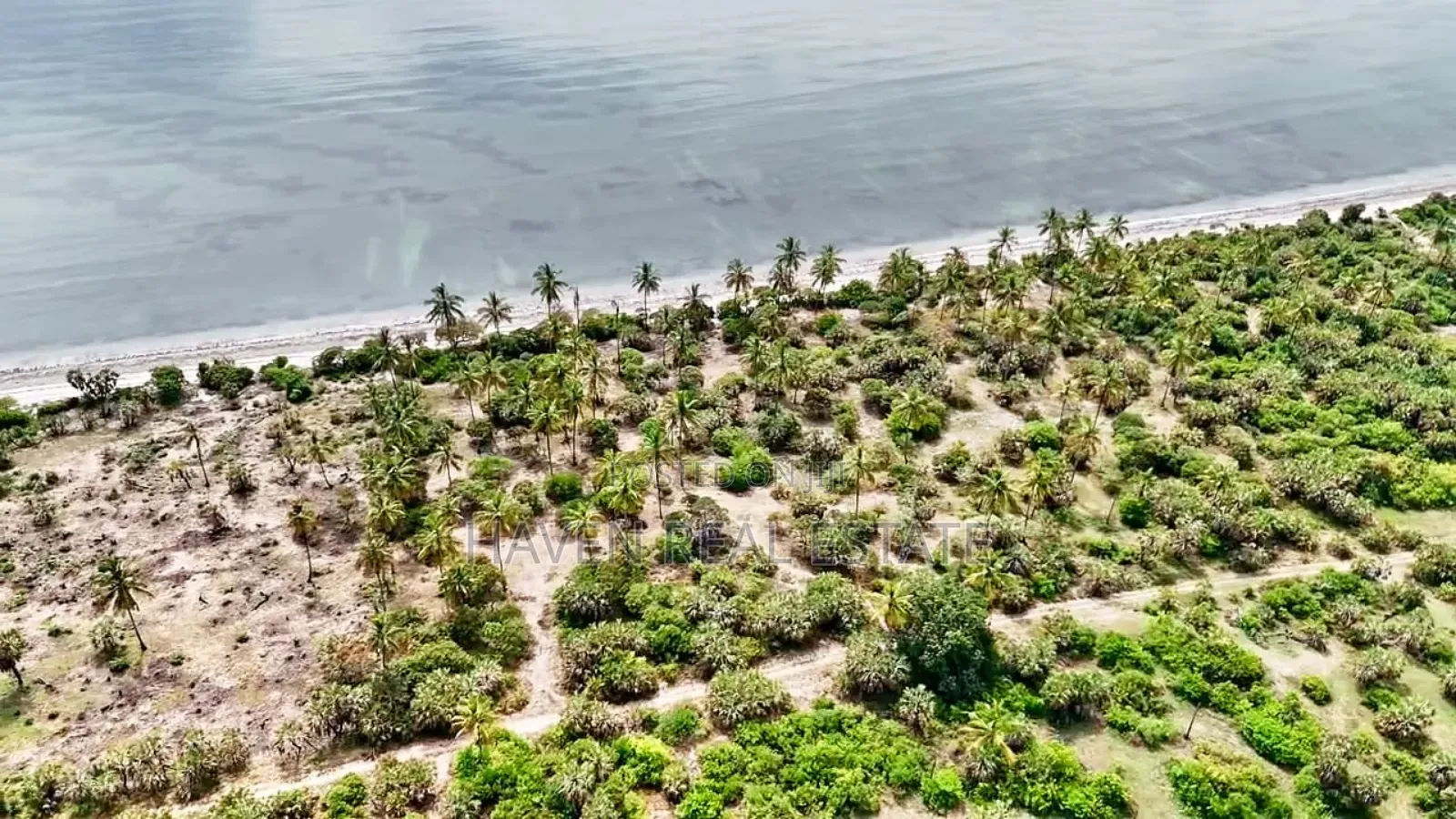 14acres Beach Plot for Sale at Tanga in Tanga City