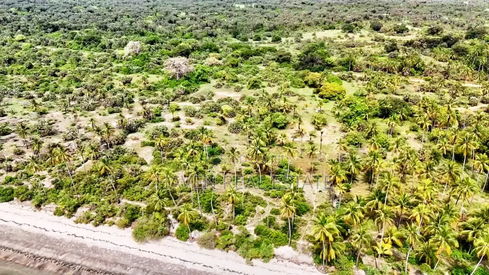 14acres Beach Plot for Sale at Tanga in Tanga City