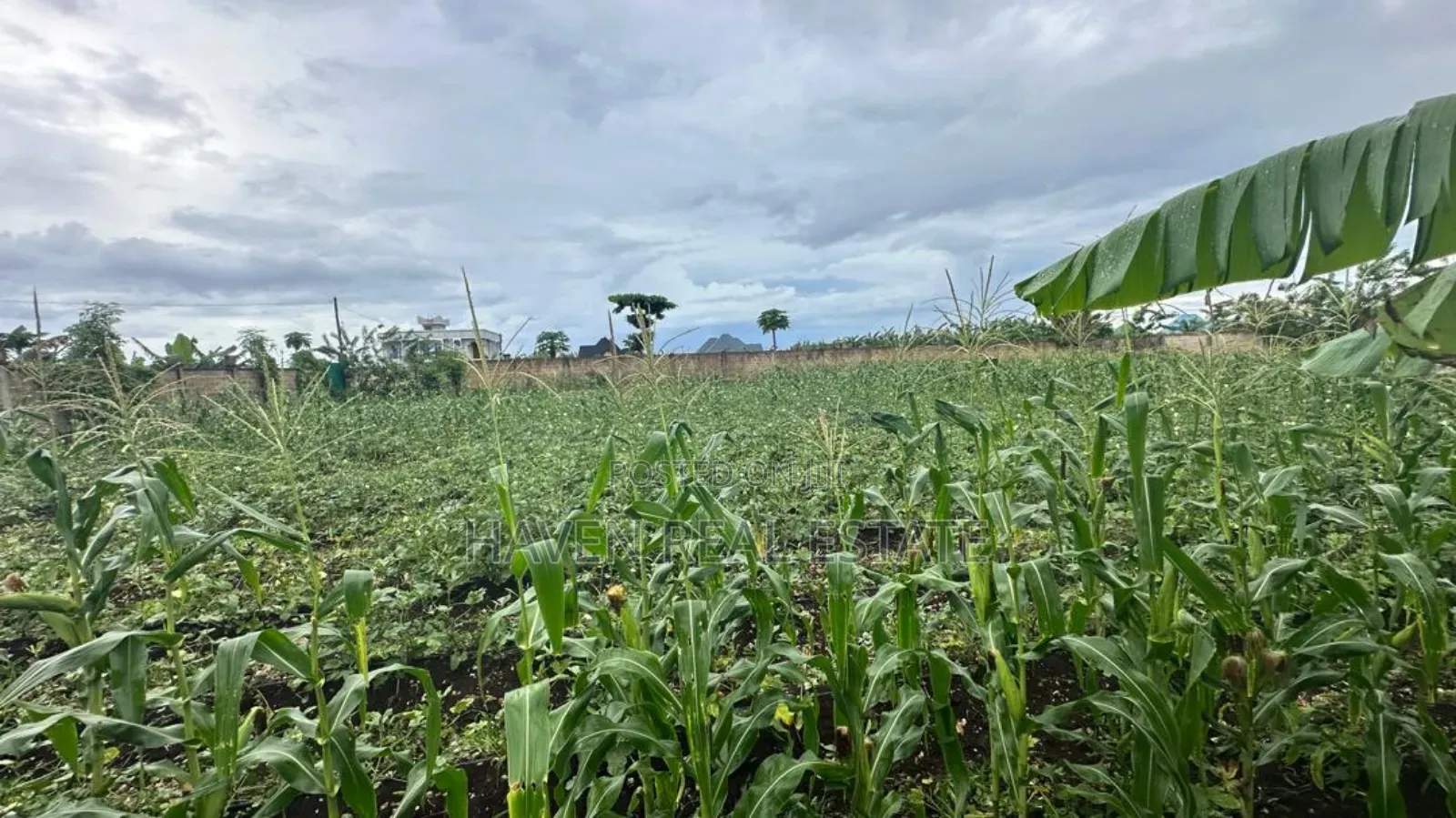 A Main Road Plot for Sale at Buyu Zanzibar in Unguja North