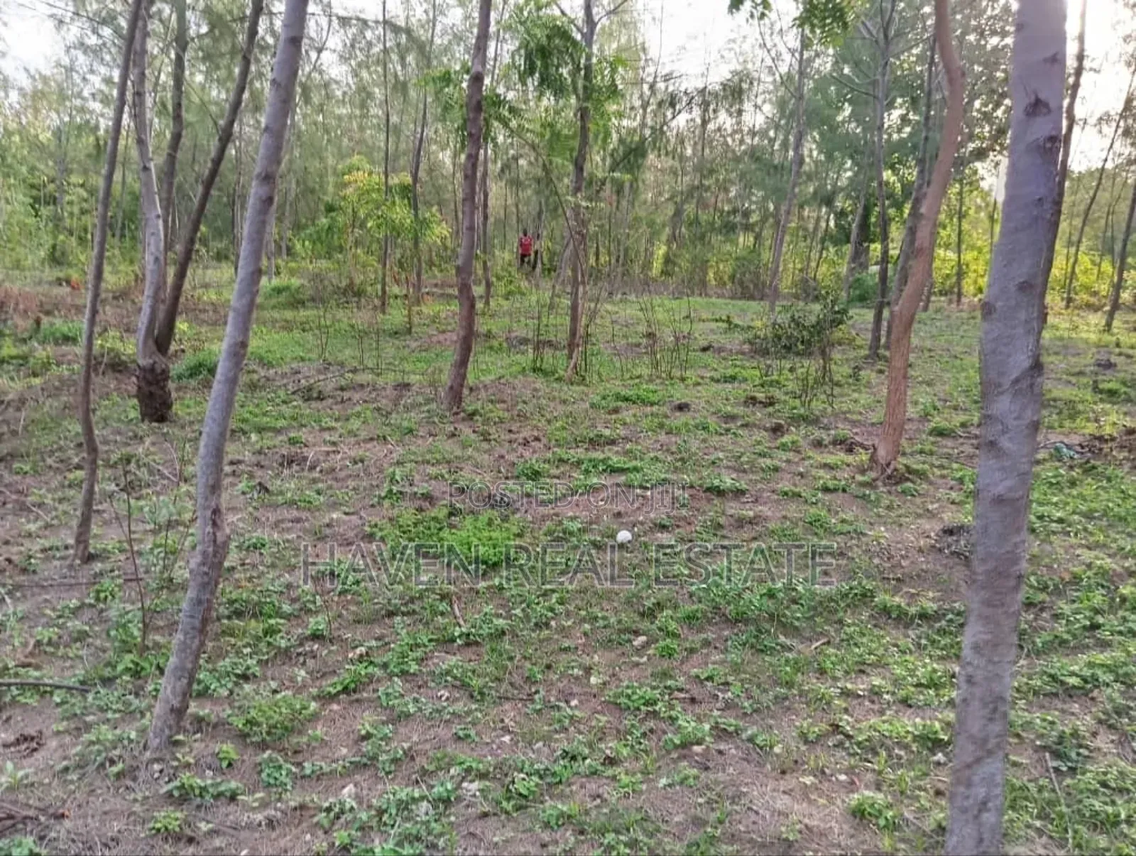Beach Plot for Sale at Pemba in Pemba