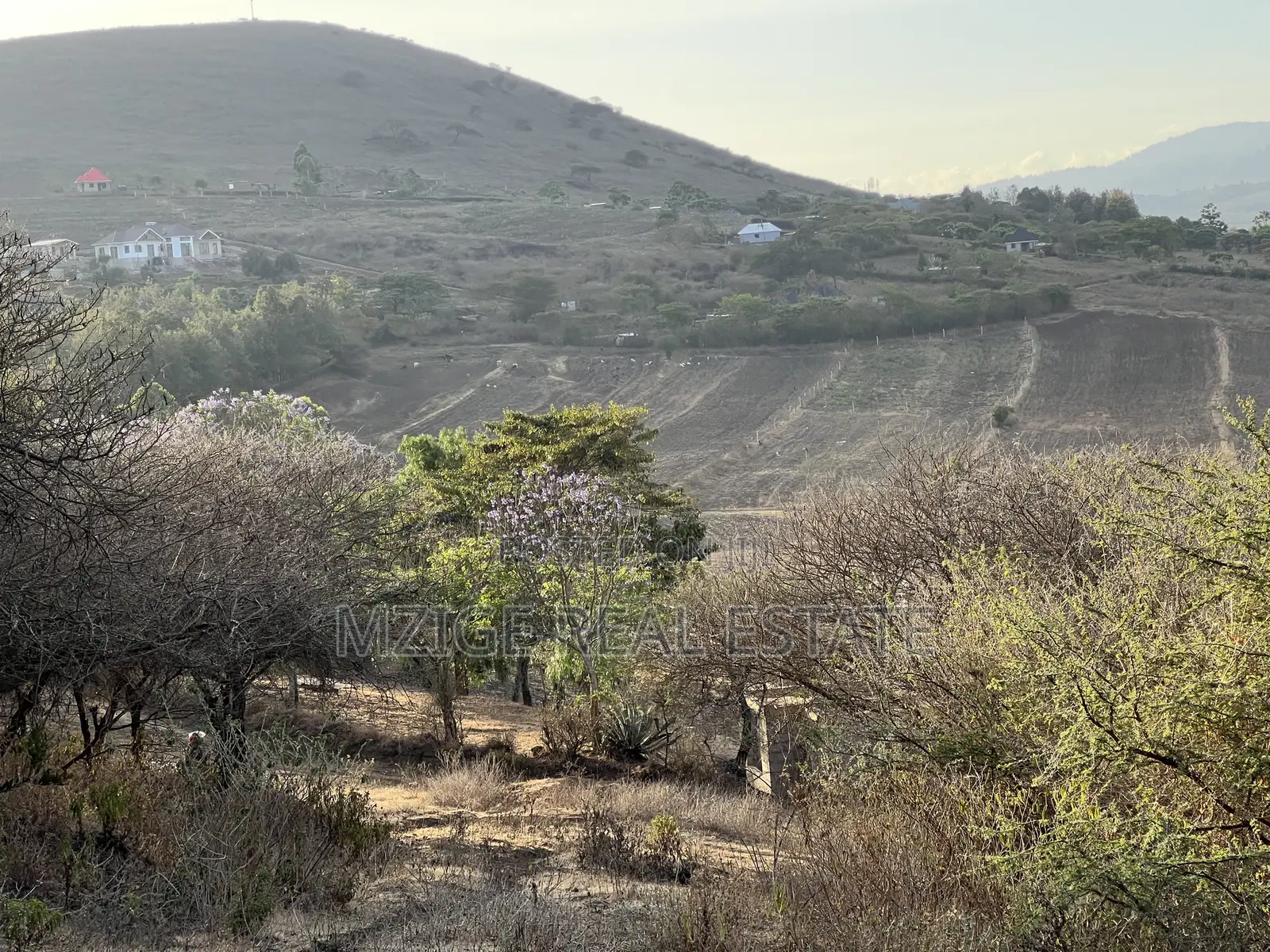 Opportunity: 5-Acre View Plot in Ngaramtoni for Sale. in Central Business Area