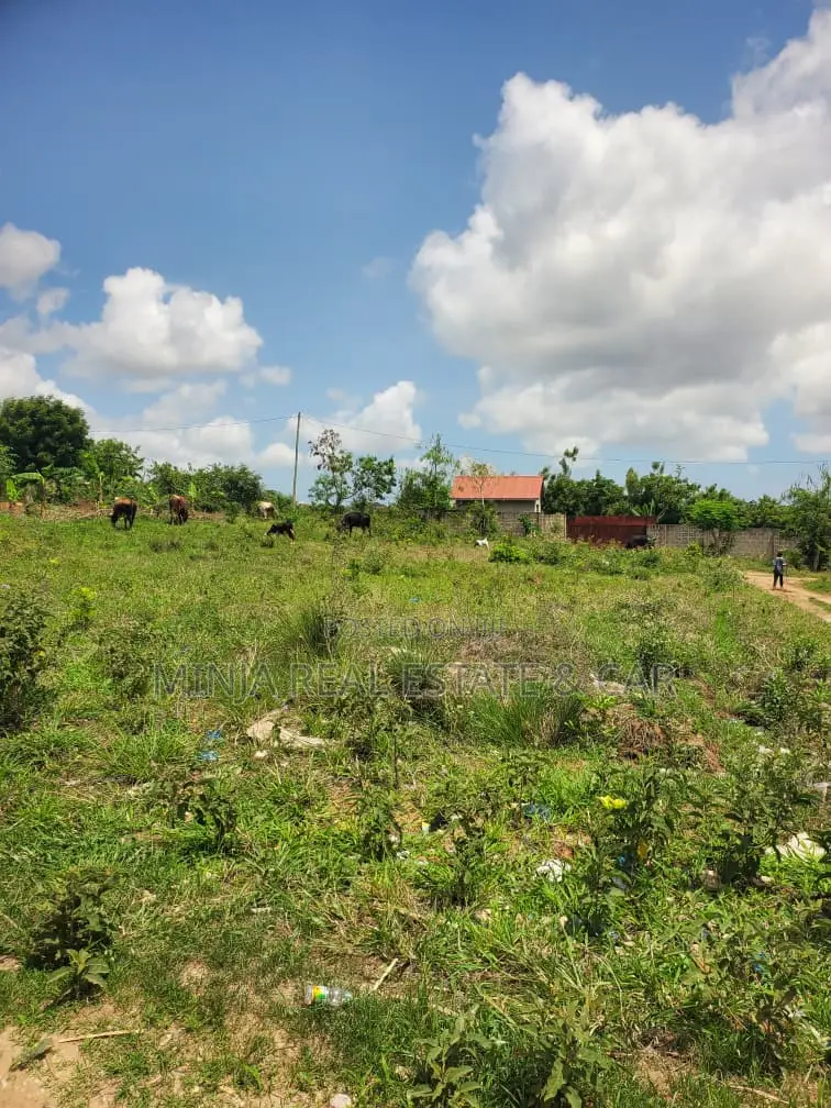 Plot for Sale Madale Mbopo Dar Es Salaam in Goba