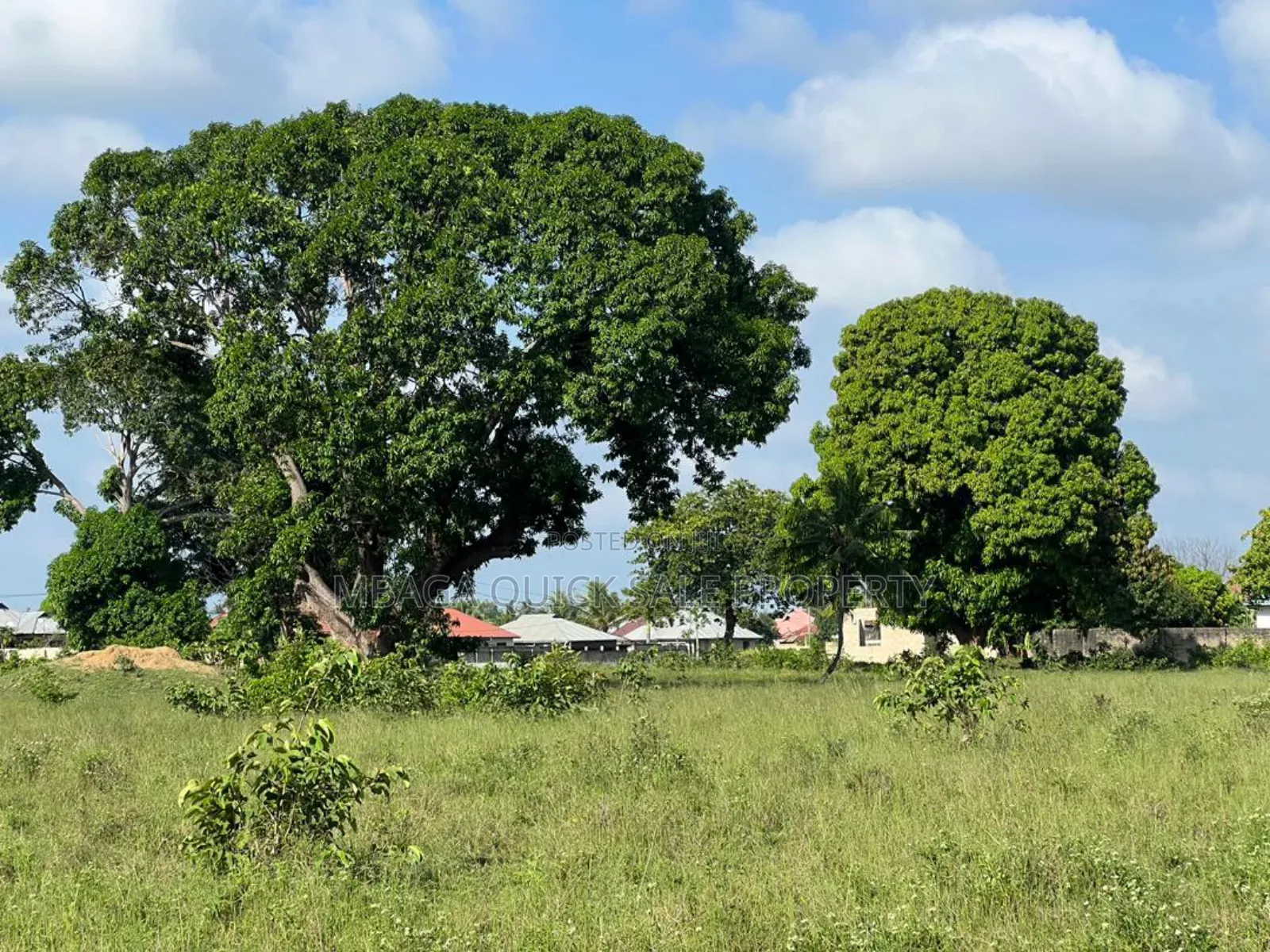 Plot With 11 Acres for Sale at Kivumbi Tifu Mwambani Tanga in Handeni Rural