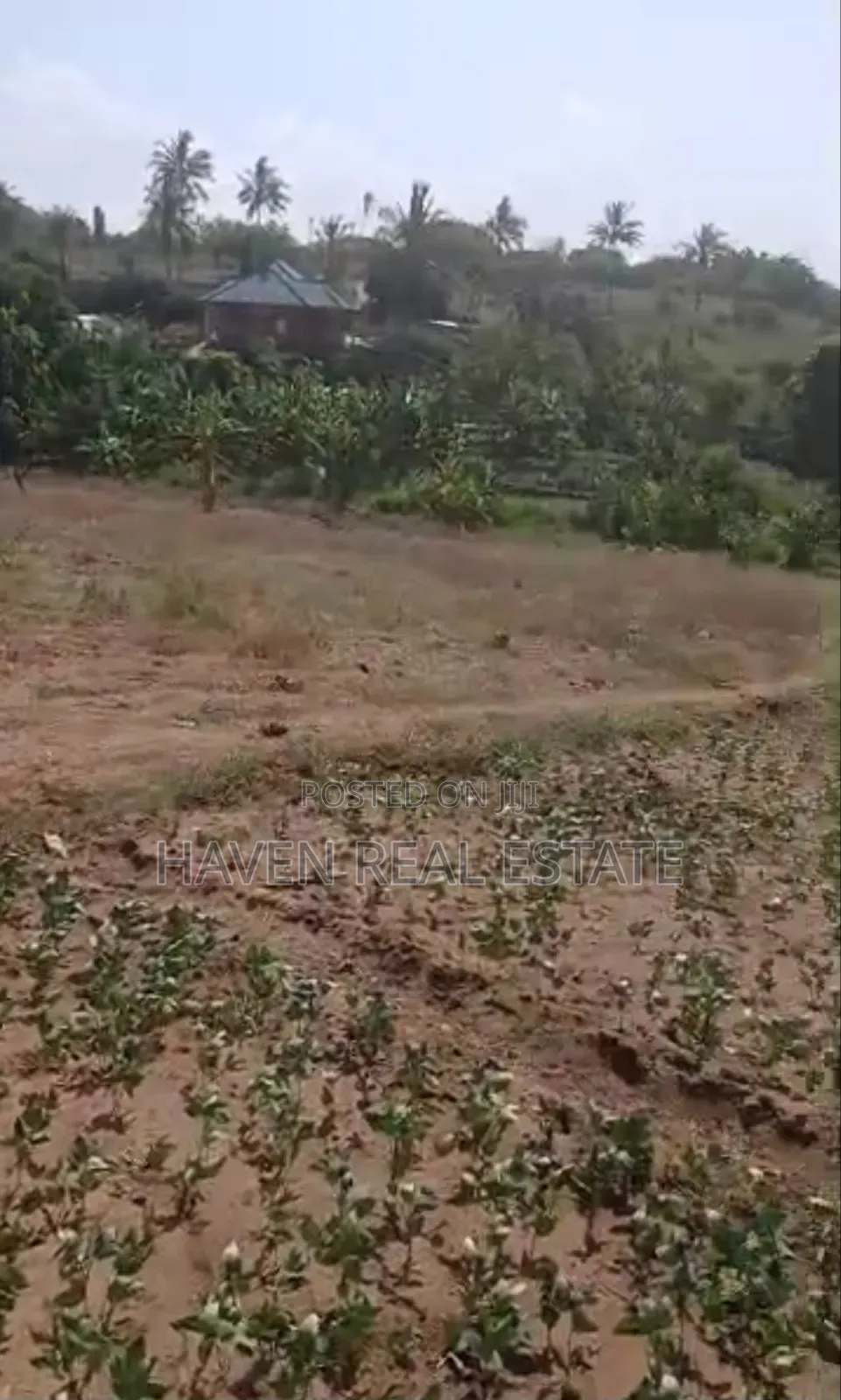 Kiwanja Kinauzwa Mbweni Moga in Mbweni