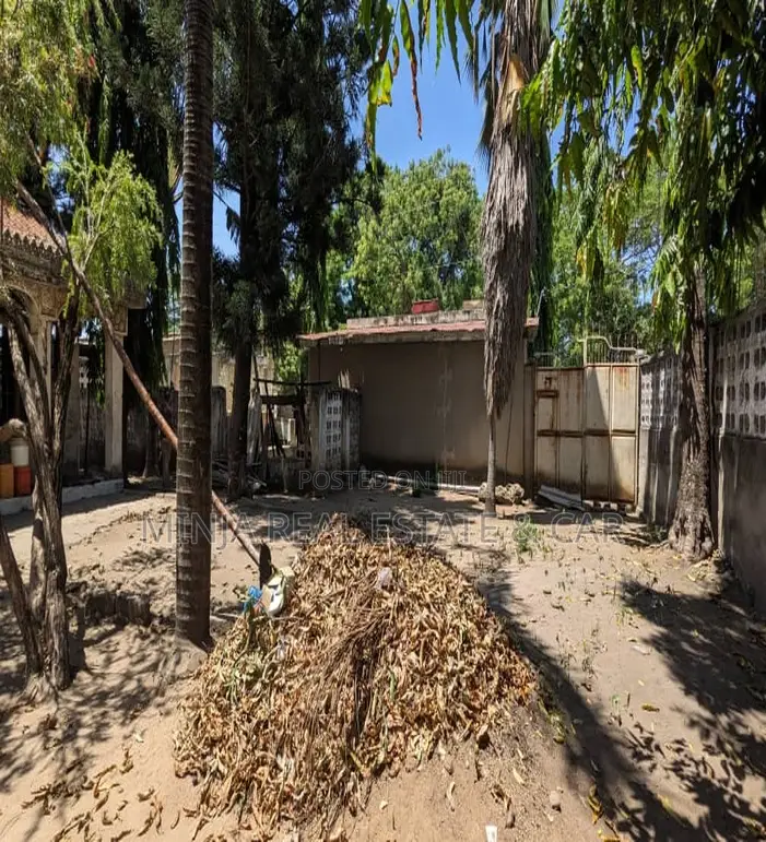 Plot for Sale Kunduchi Along the Main Road in Kunduchi