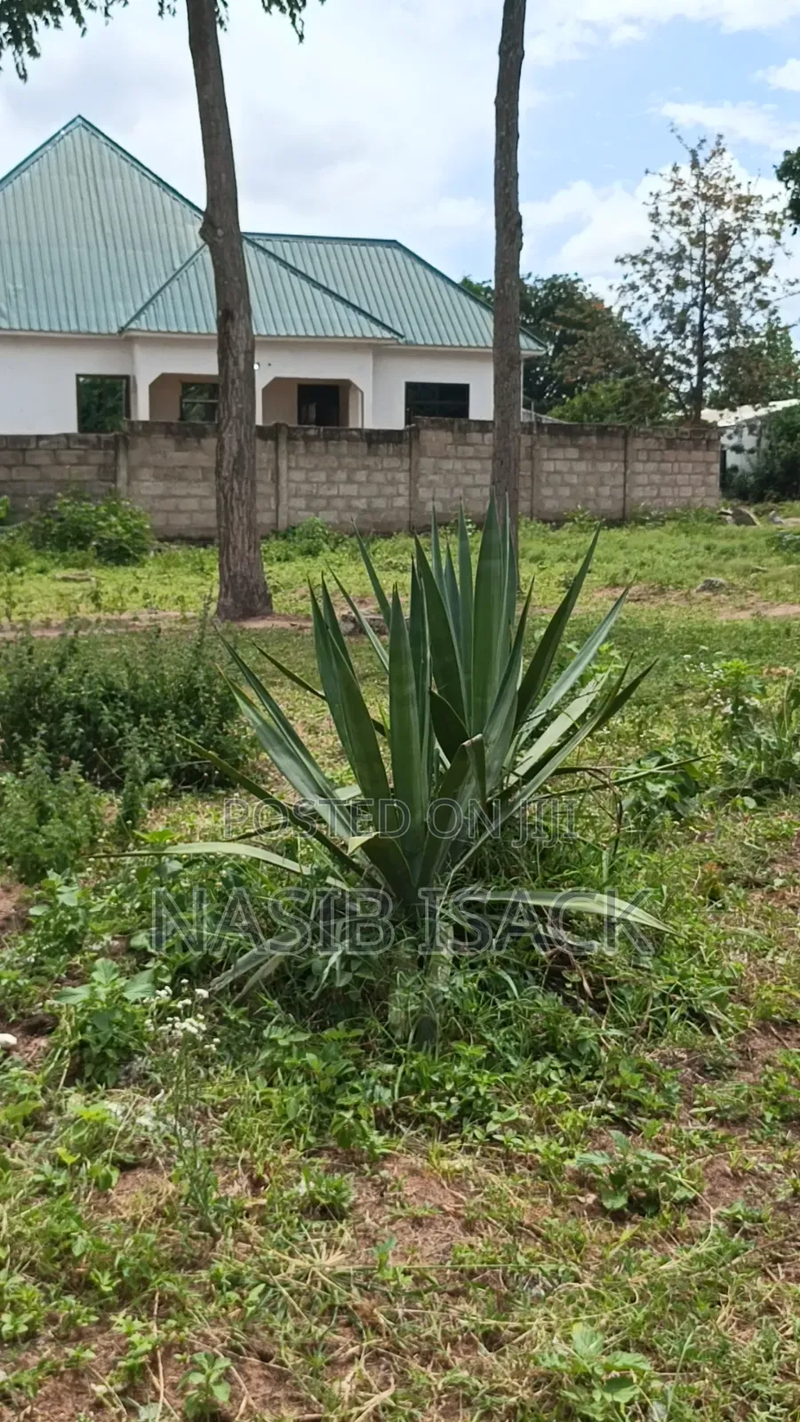 New Plot for Sale Mwanza Buhongwa in Buhongwa