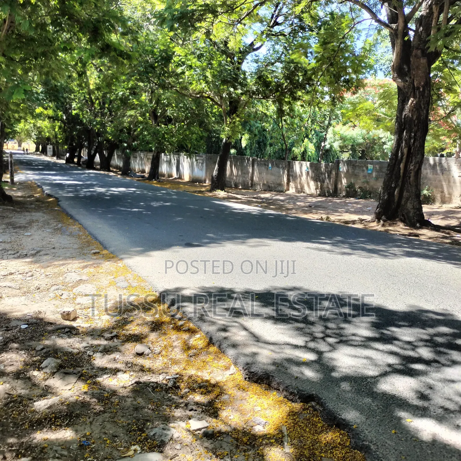 Plot for Sale Oysterbay DSM in Kinondoni