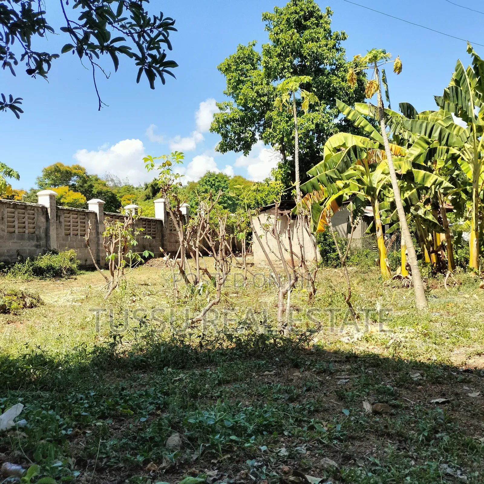 Prime Plot for Sale Oysterbay Bongoyo Street in Oyster Bay
