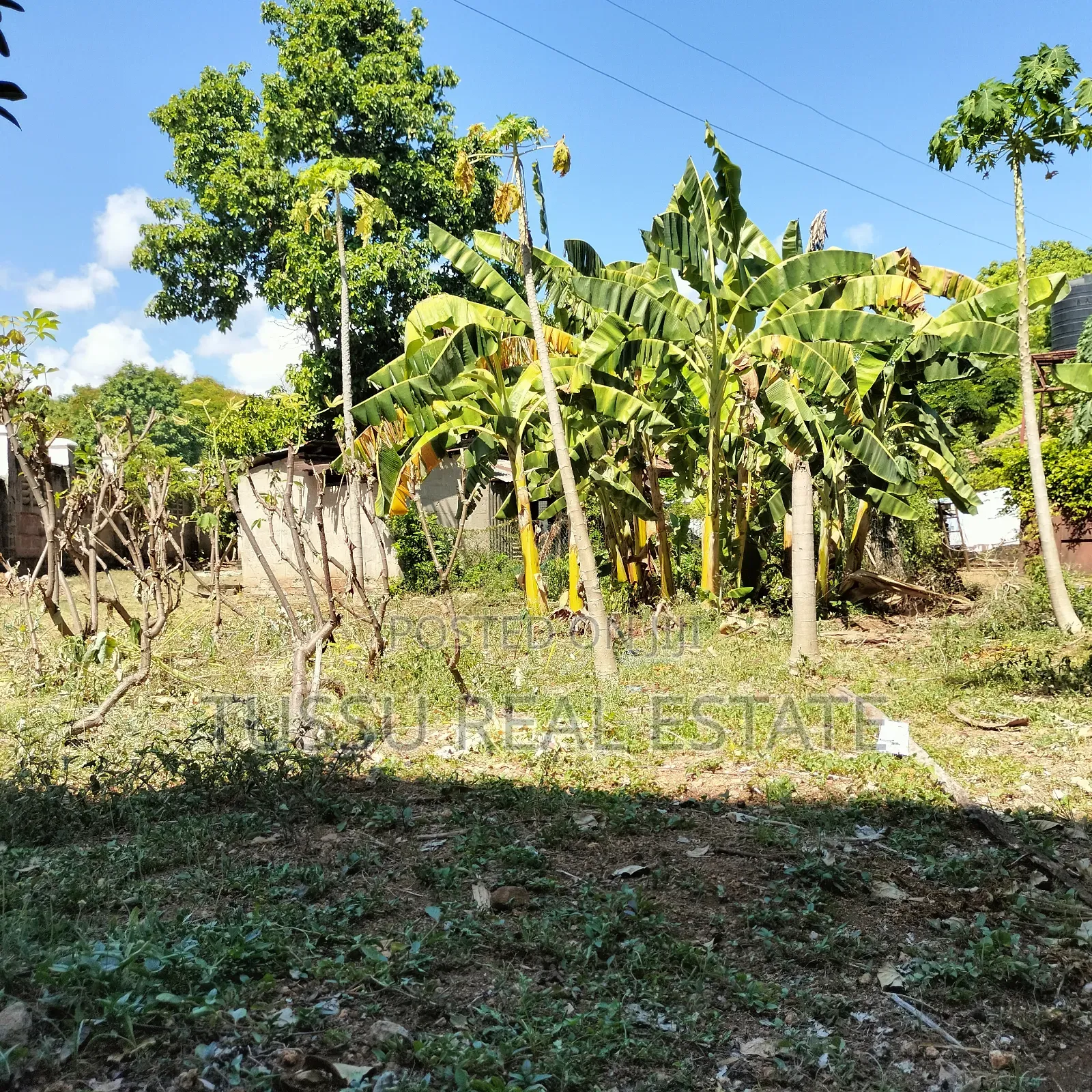 Prime Plot for Sale Oysterbay Bongoyo Street in Oyster Bay