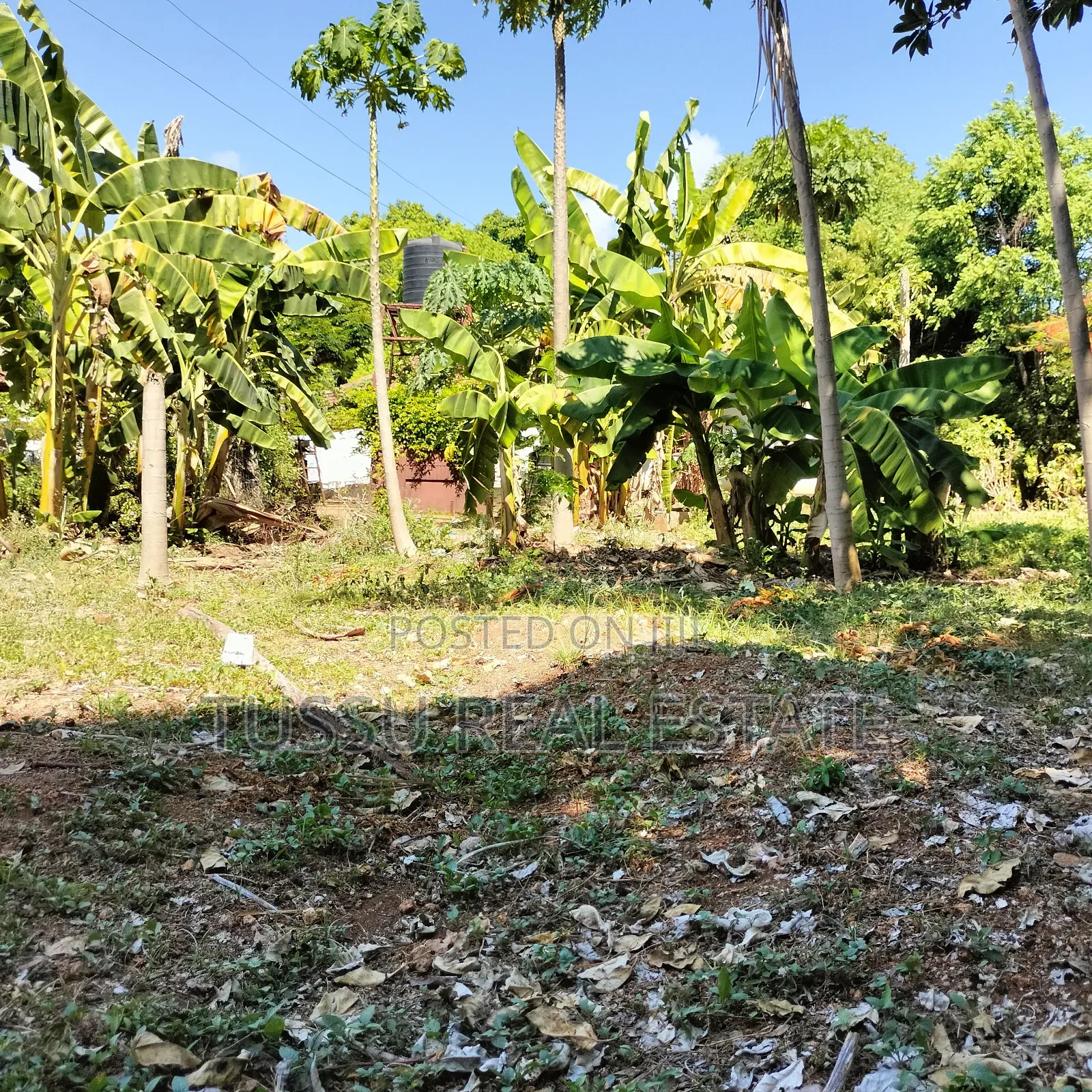 Prime Plot for Sale Oysterbay Bongoyo Street in Oyster Bay