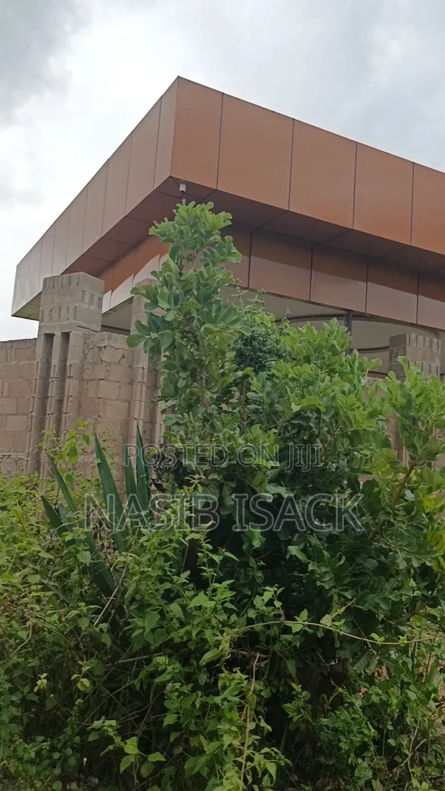 Plot for Sale in Nyamongoro