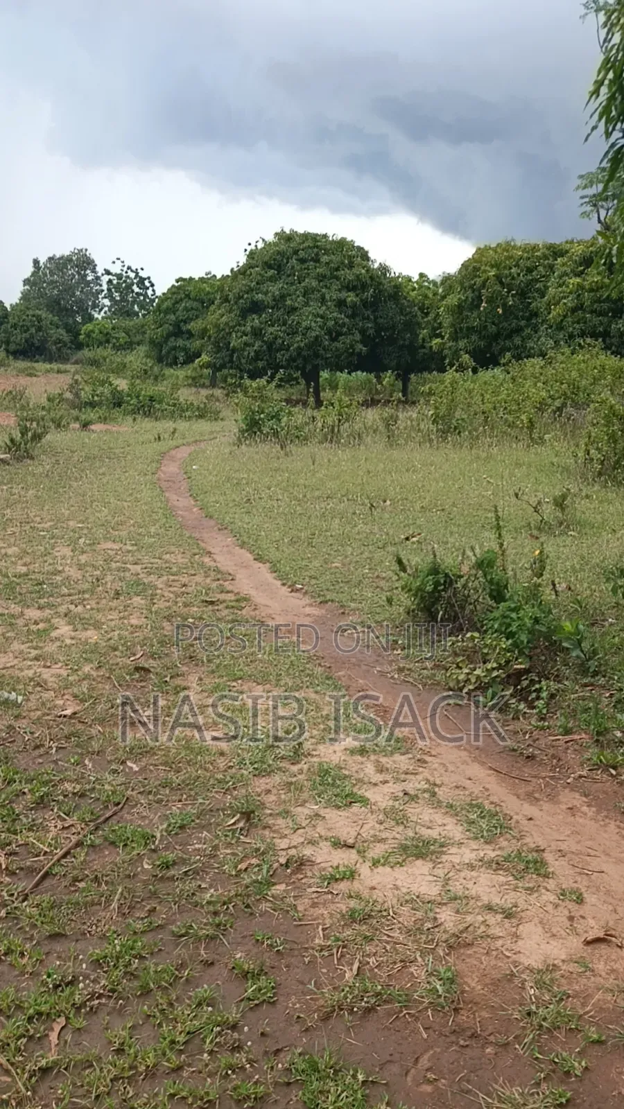 Plot for Sale in Nyamongoro