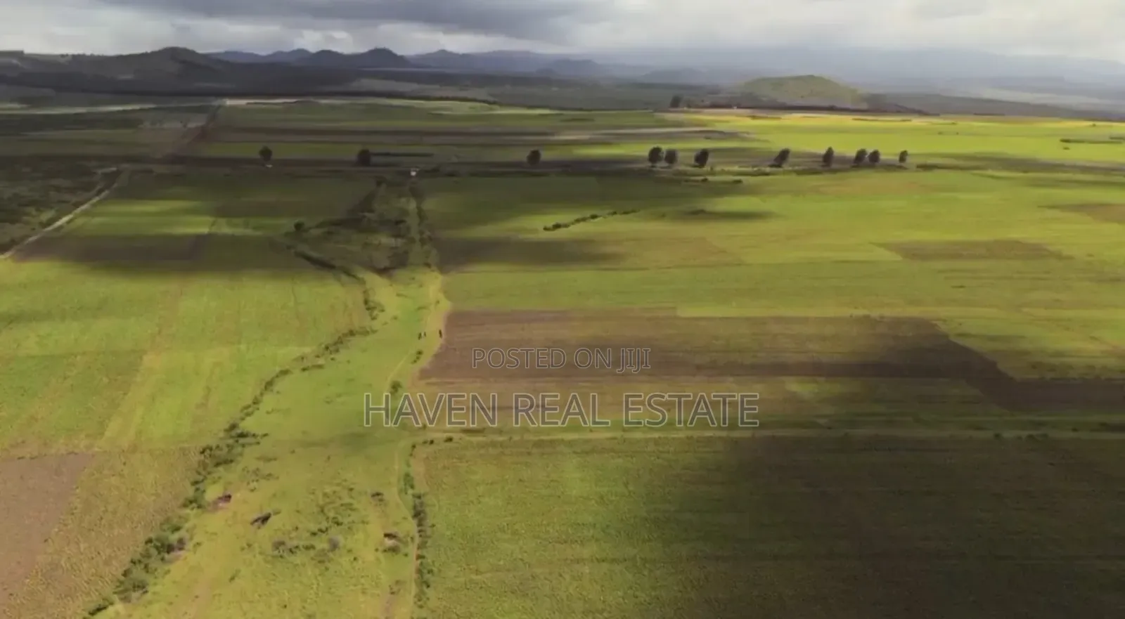 130 Acres for Sale at Kilimanjaro in Mwanga