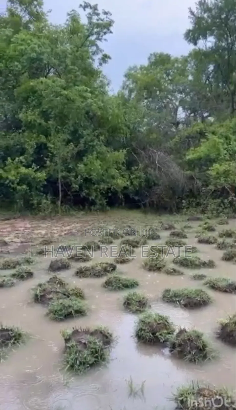 250 Acres Shamba Linauzwa Kisarawe in Kisarawe