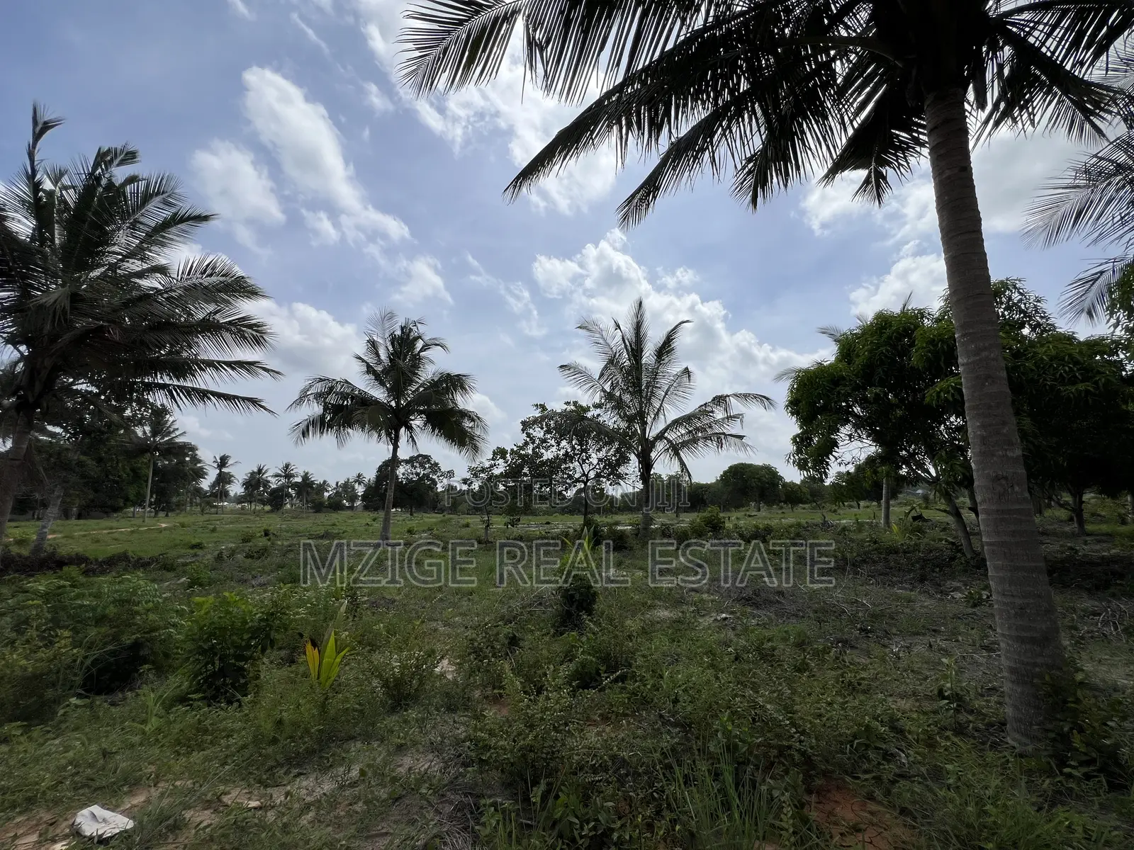 30 Acres Industrial Plot With a Gas Pipeline 4 Sale in Mkuranga in Mkuranga