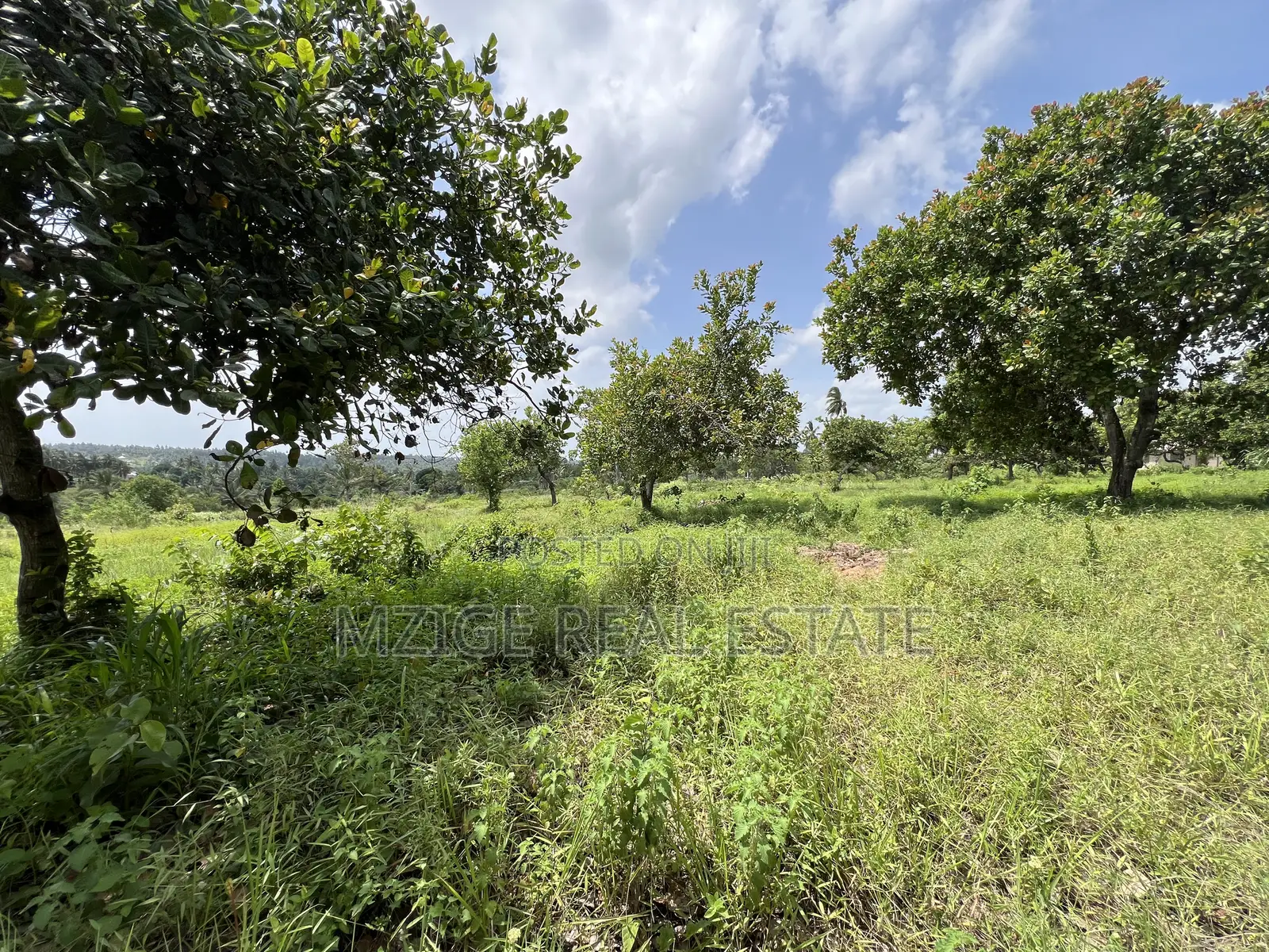 10 Acres Industrial Plot for Sale – Dundani, Mkuranga in Mkuranga
