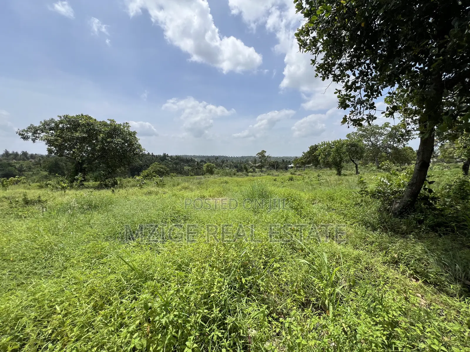10 Acres Industrial Plot for Sale – Dundani, Mkuranga in Mkuranga
