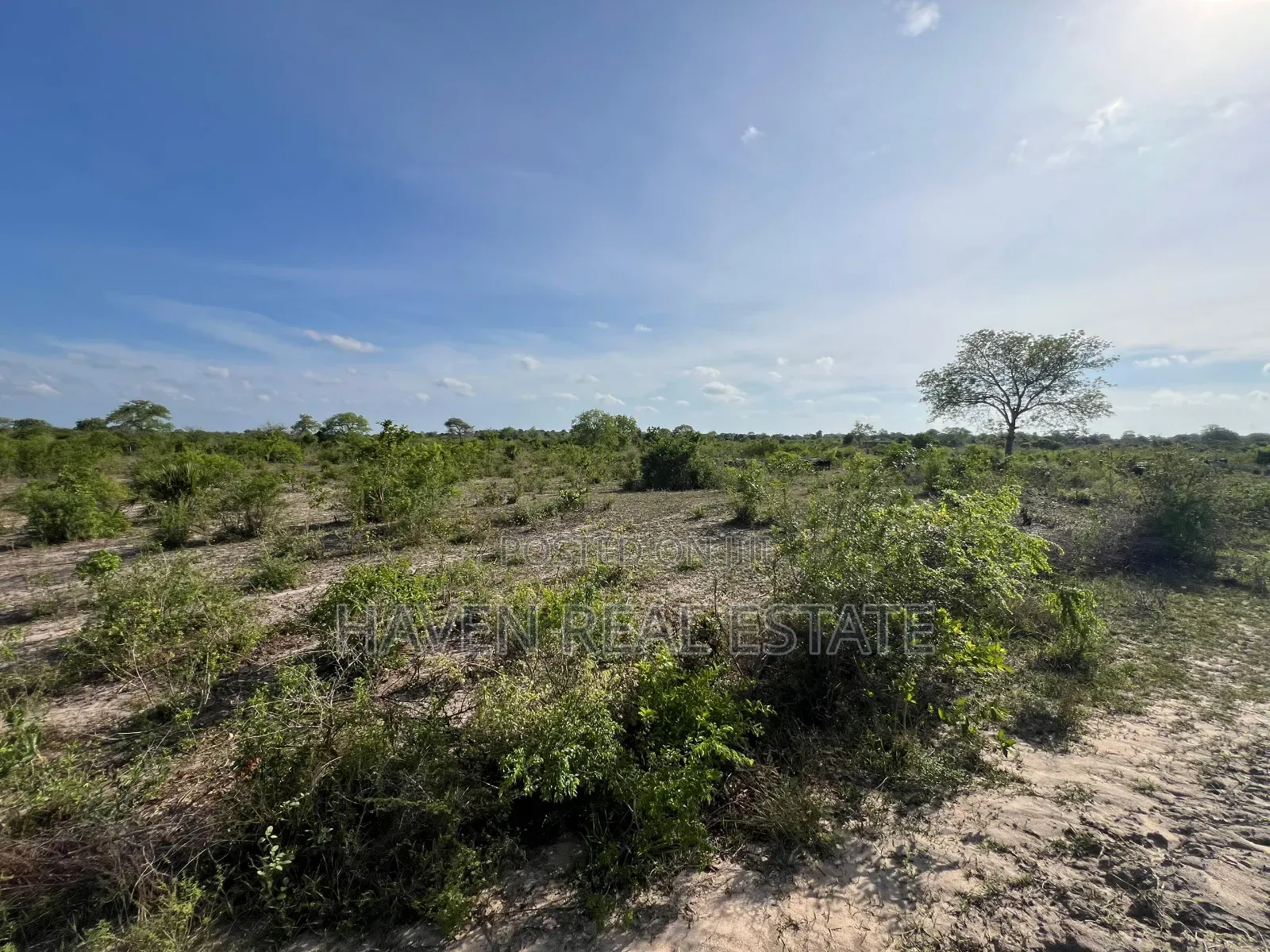Ekari 7 Zinauzwa Bagamoyo Kidomole in Bagamoyo