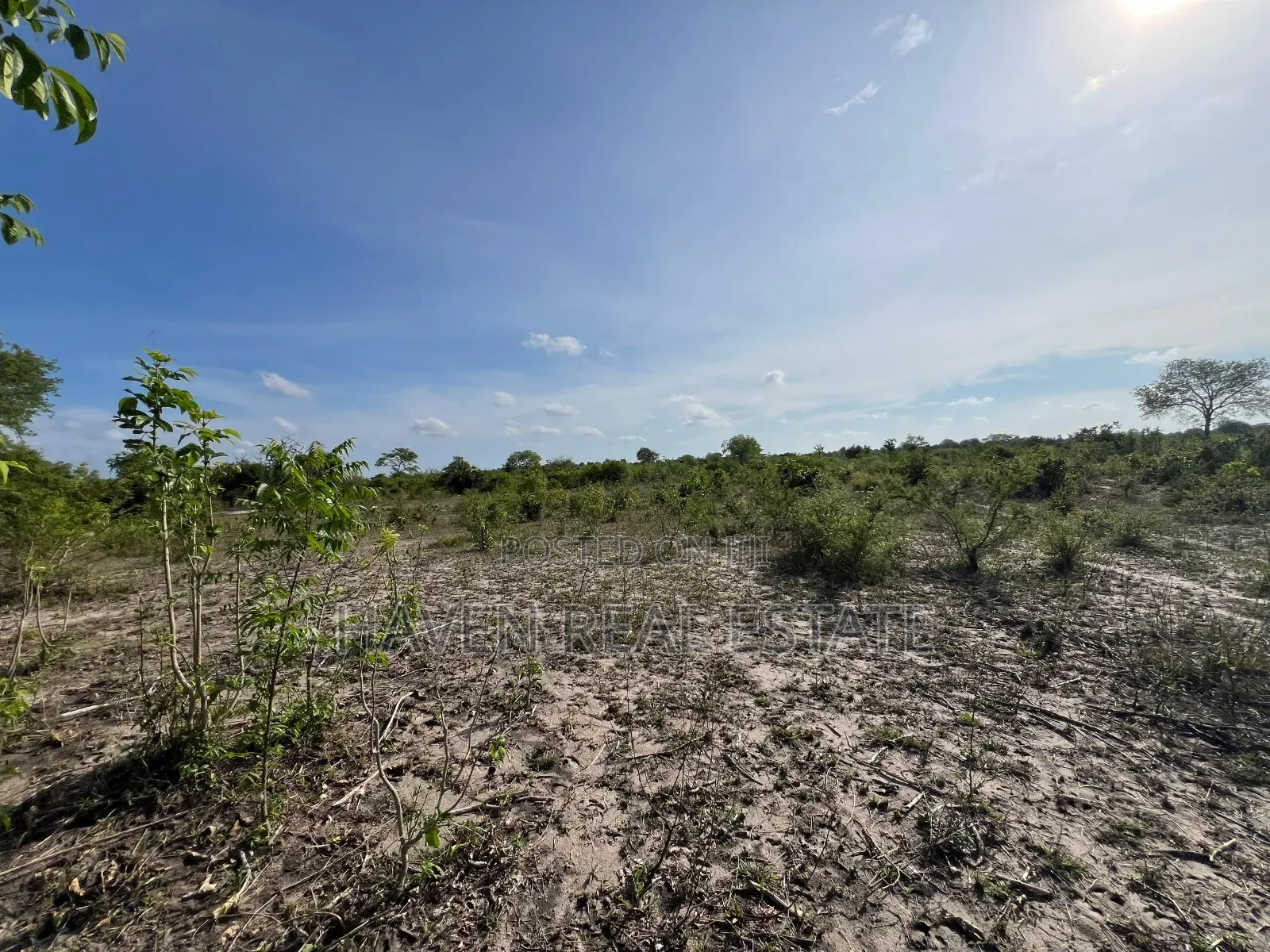 Ekari 7 Zinauzwa Bagamoyo Kidomole in Bagamoyo