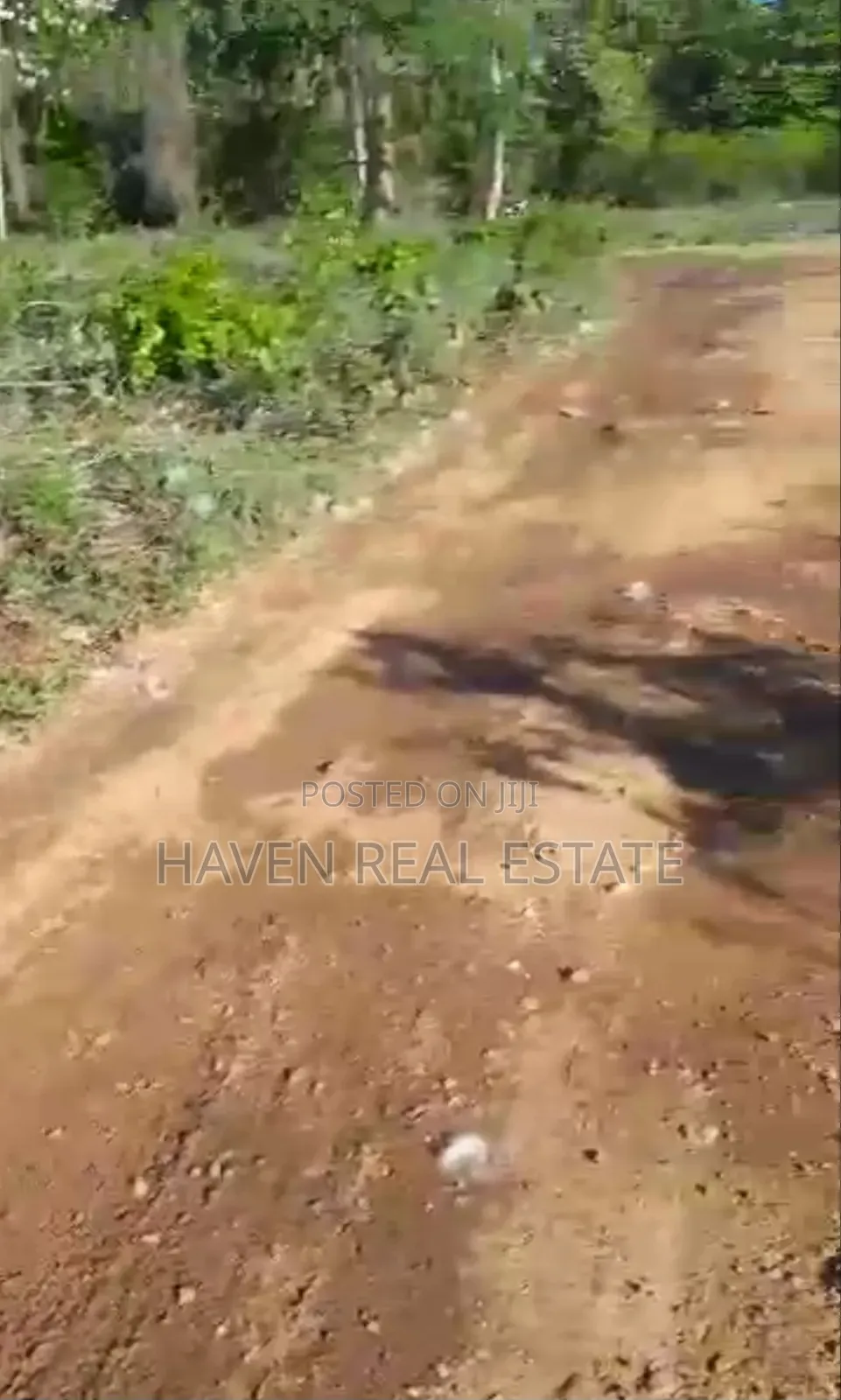 Kiwanja Kizuri Kinauzwa Skuli Tunguu Zanzibar in Mjini Magharibi