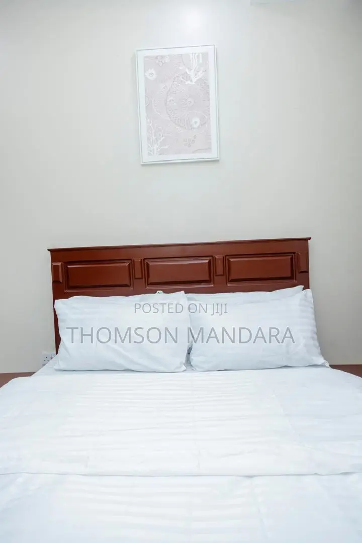 Furnished 2bdrm Apartment in Mikocheni for rent in Mikocheni
