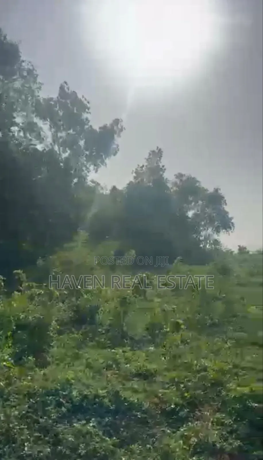 Beach Plot for Sale at Zanzibar in Unguja South