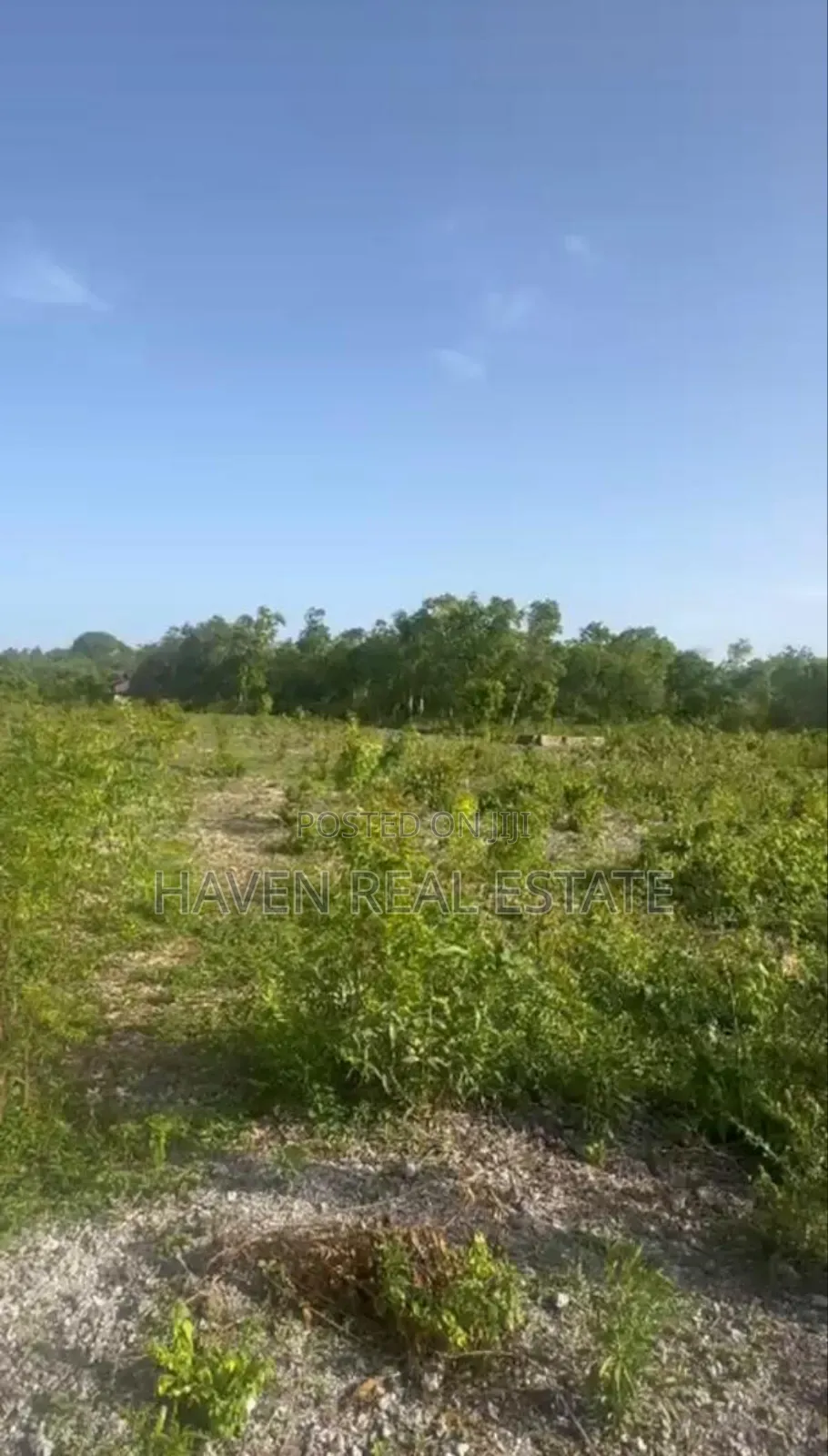 Beach Plot for Sale at Zanzibar in Unguja South