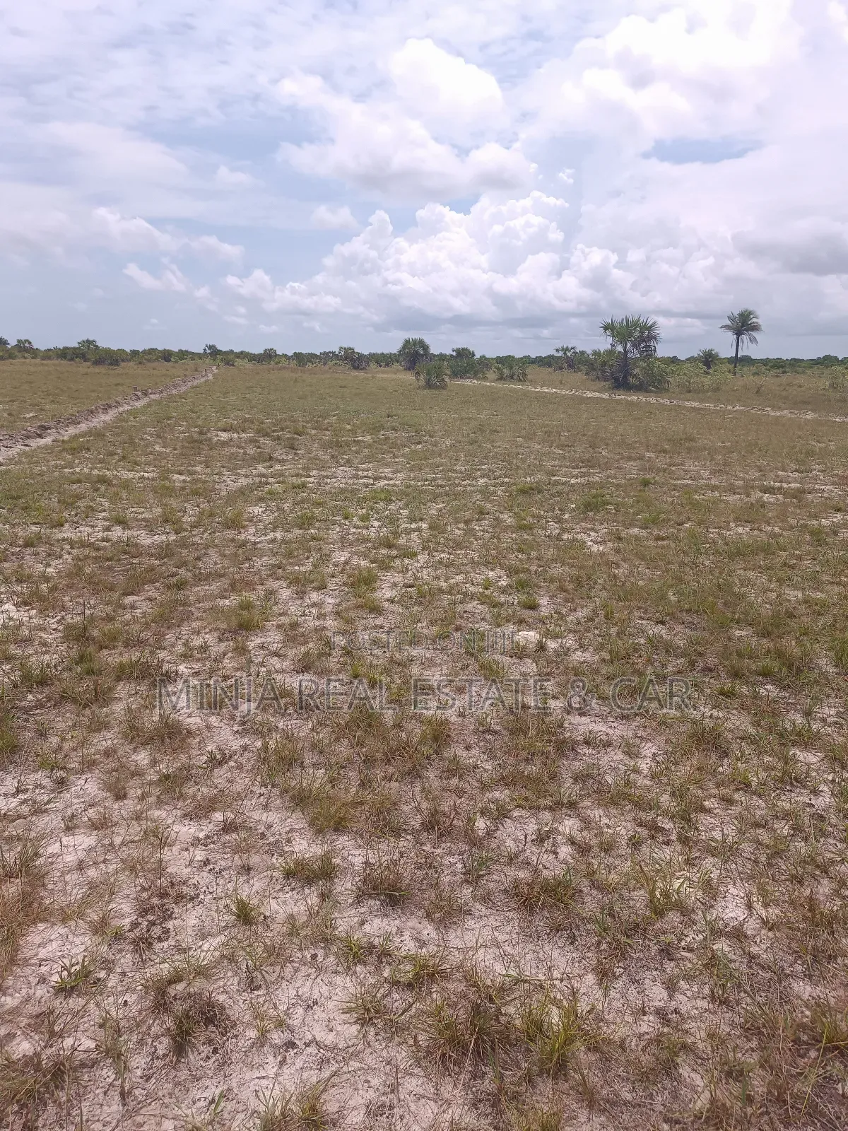 Industrial Plot For Sale Kibaha Misugusugu In The Industrial Park in Mlandizi