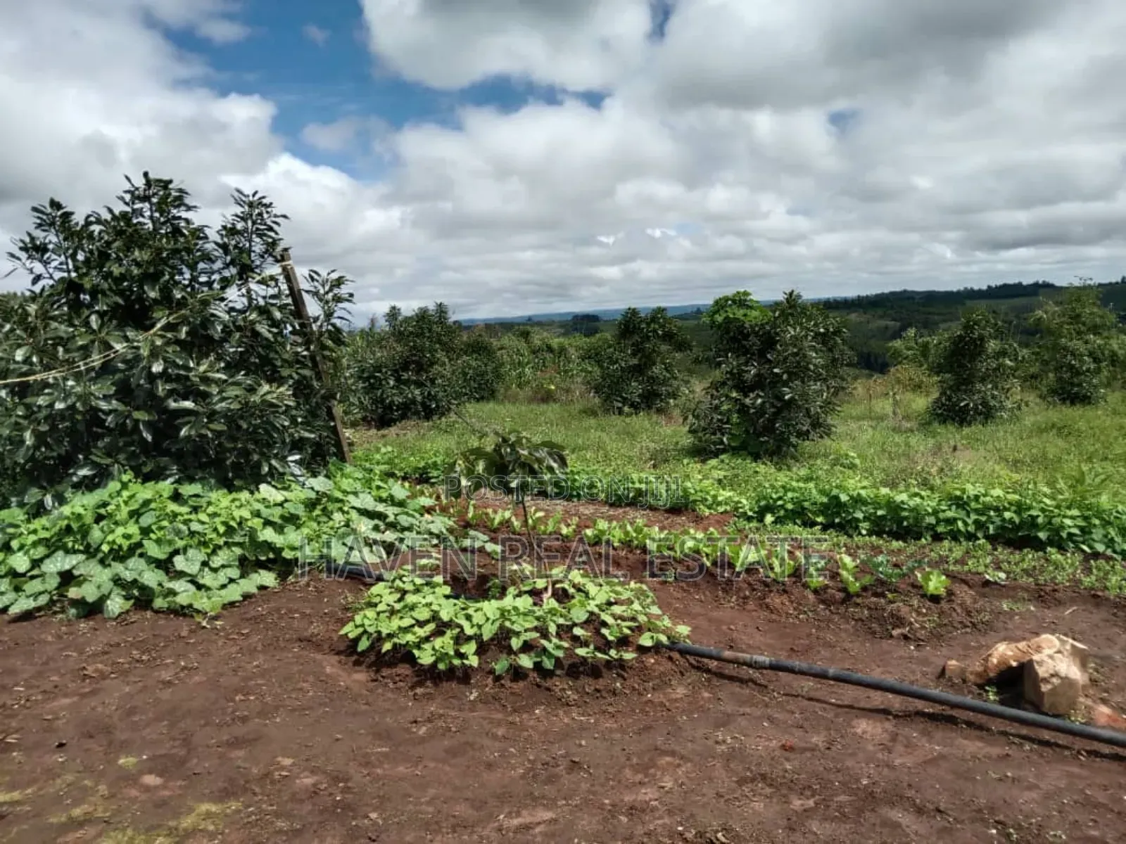 Shamba La Ekari 100 La Parachichi Linauzwa Njombe in Njombe Rural