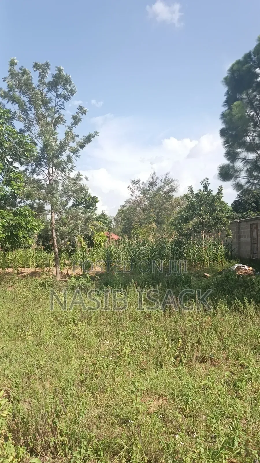 Plot for Sale Mwanza Busweru in Buswelu